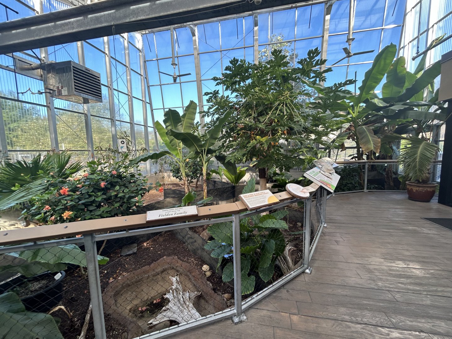 Turtle/Tortoise Greenhouse - ARC