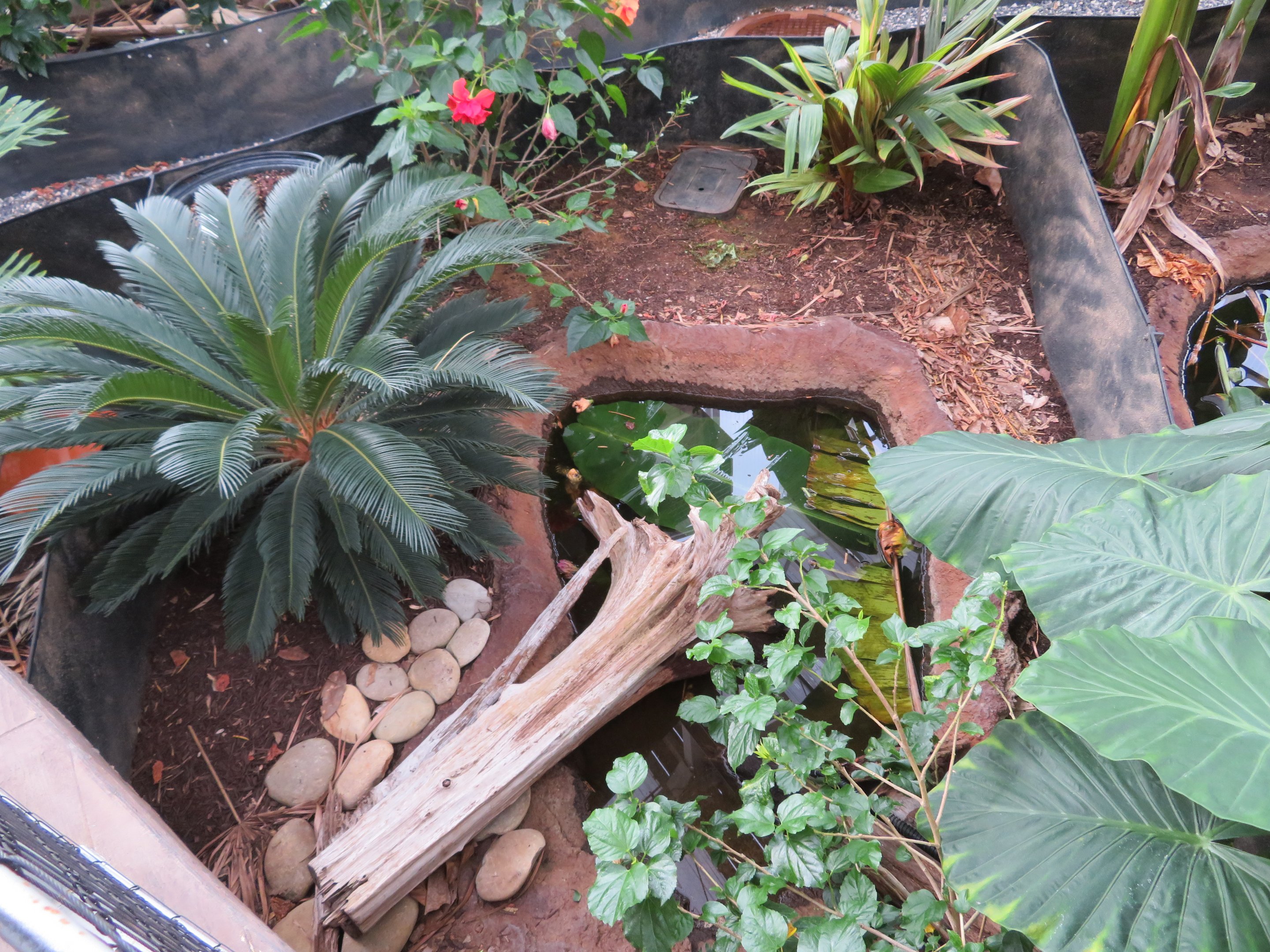 Turtle/Tortoise Greenhouse Pen