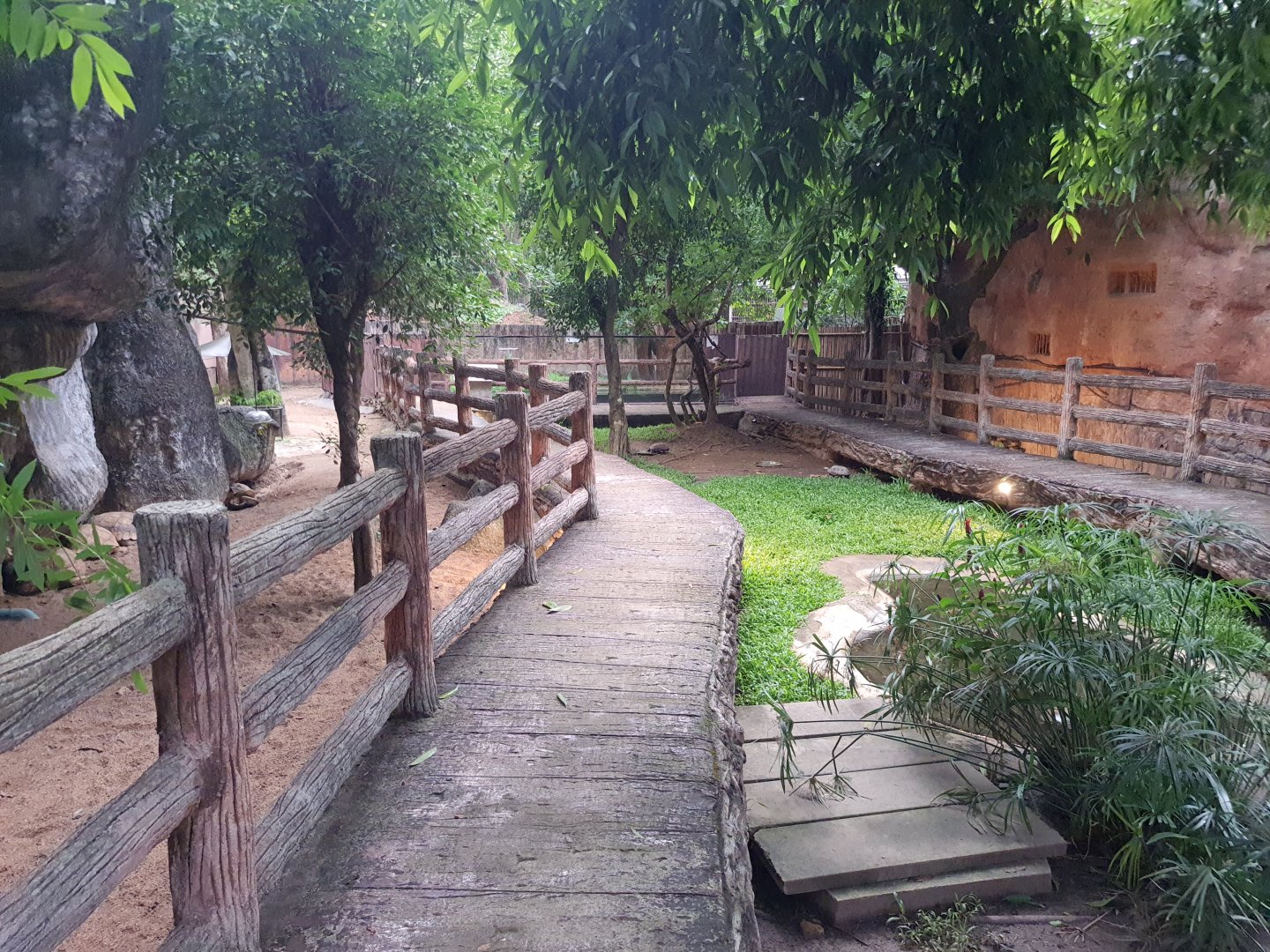 Turtle & Tortoise walkway