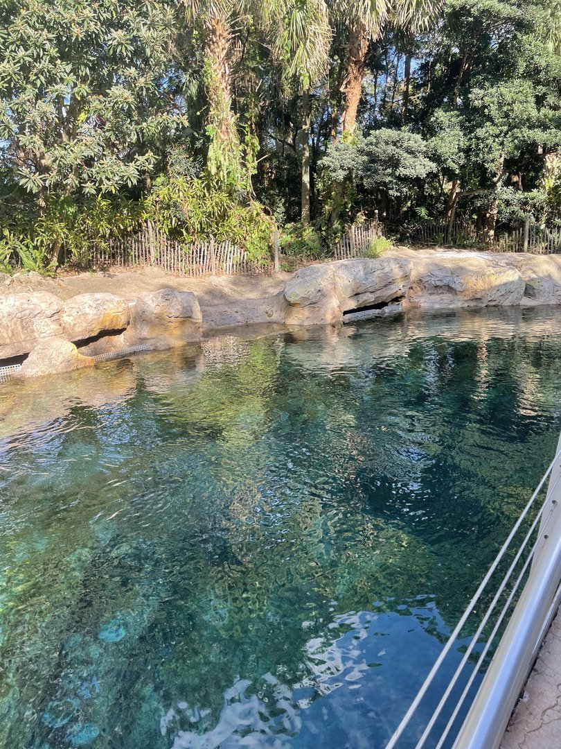 Turtle Trek- Sea Turtle Exhibit