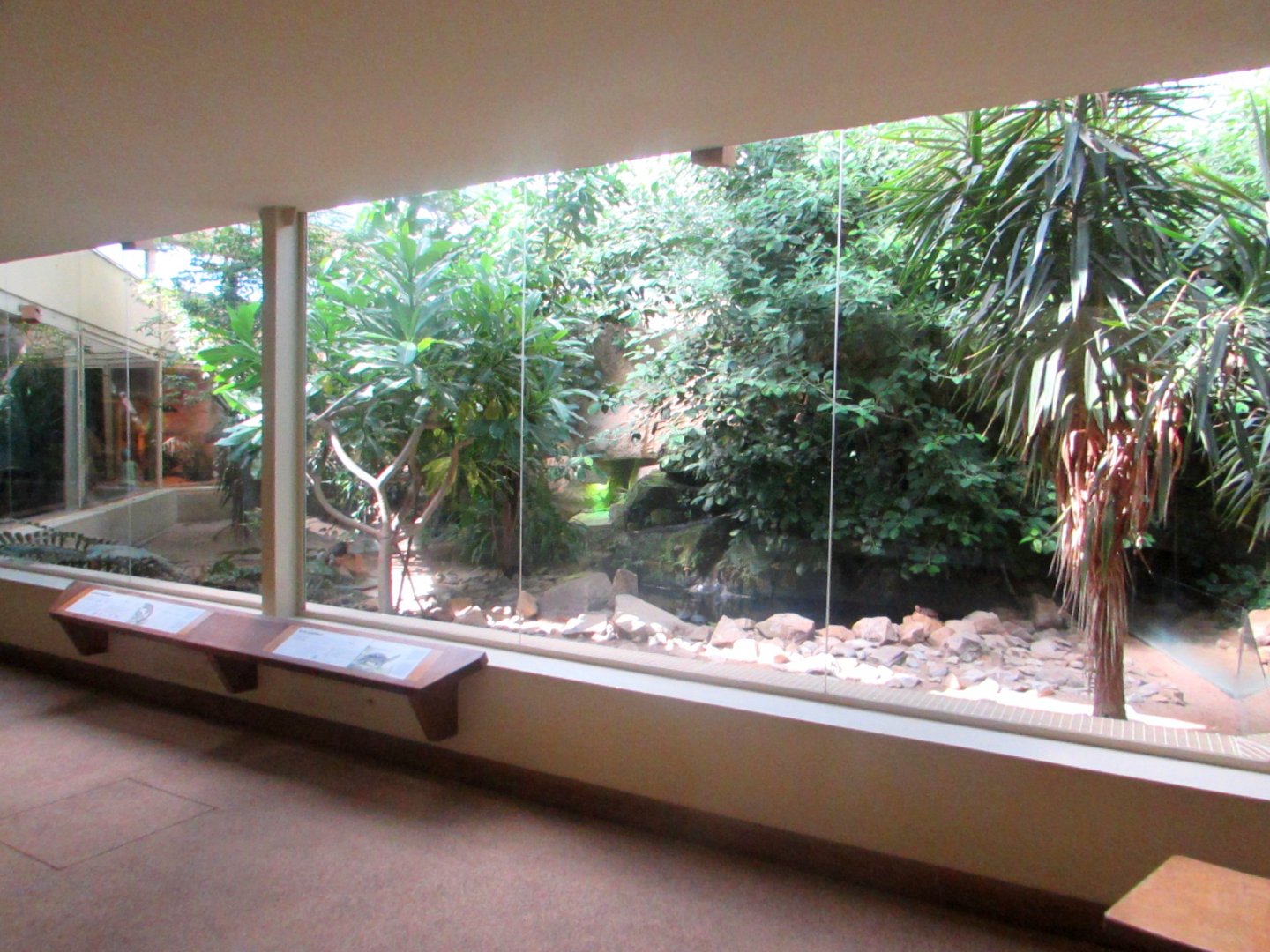 Turtles and lizards exhibition - July/2017