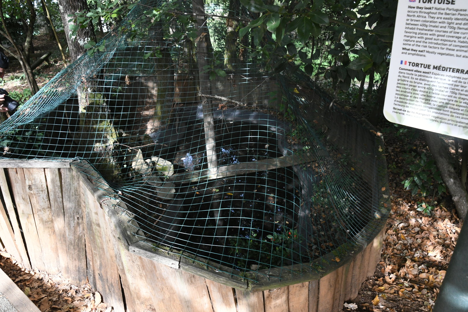 Turtles exhibit