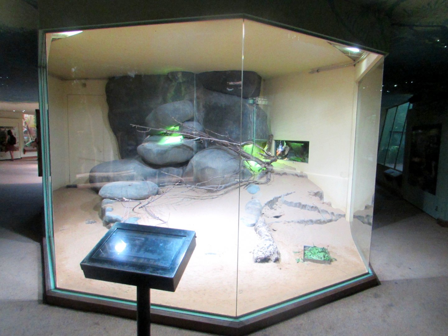 Turtles exhibiton - July/2017