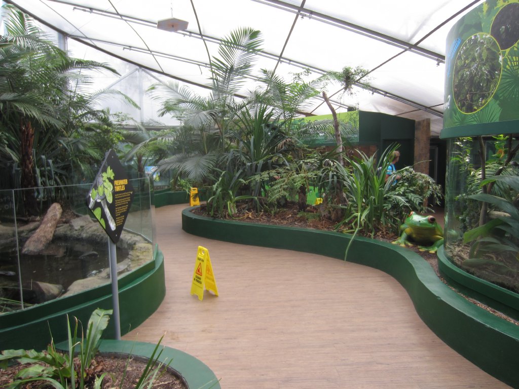 Turtles, Frogs and GTPs