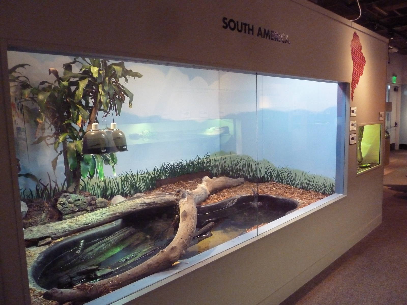 Turtles - Temporary Exhibit Gallery (74 Species)