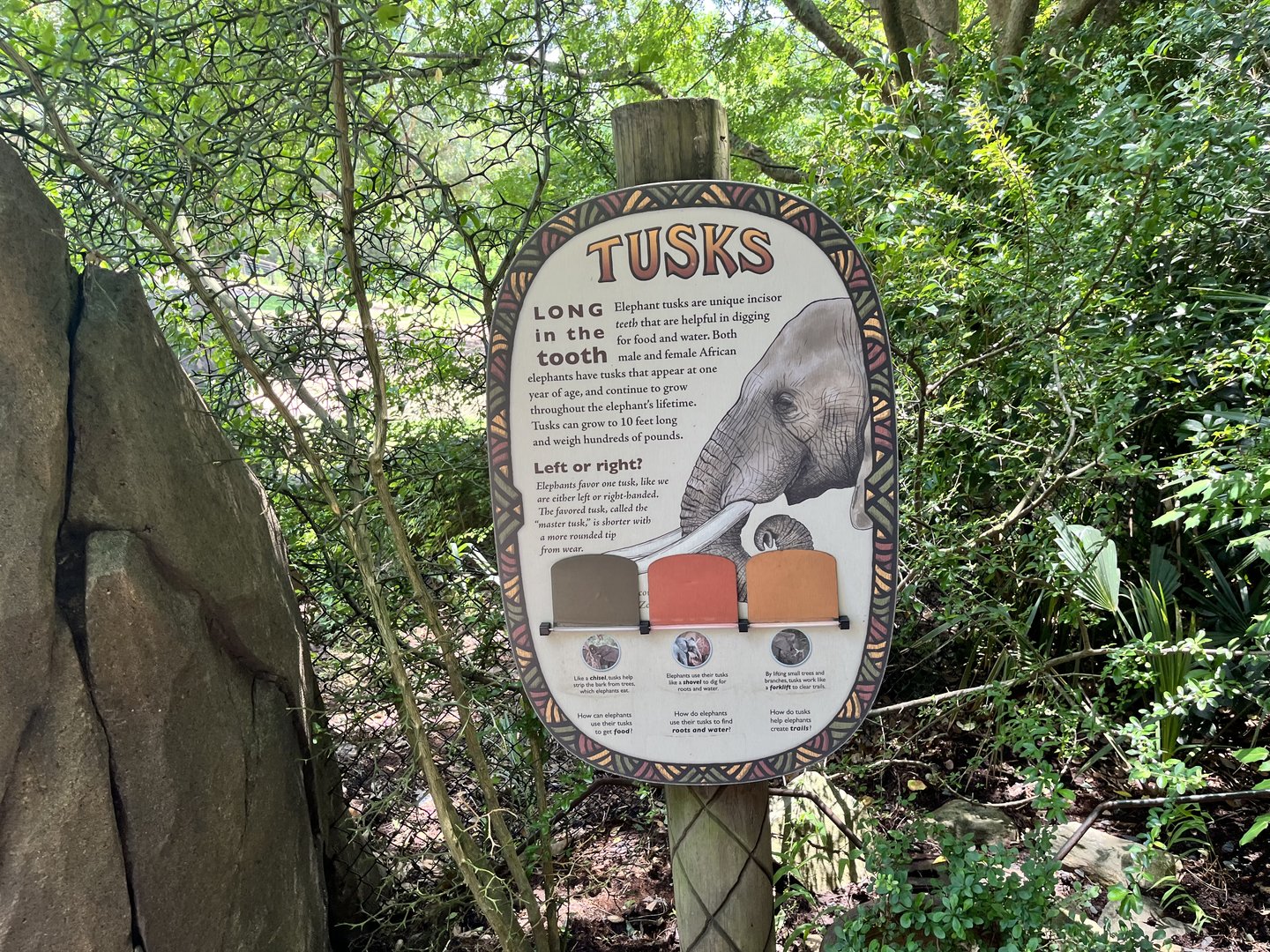 Tusk Signage