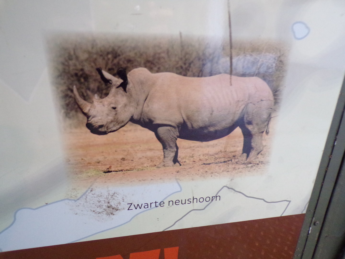 Tut tut tut! 13.7.23