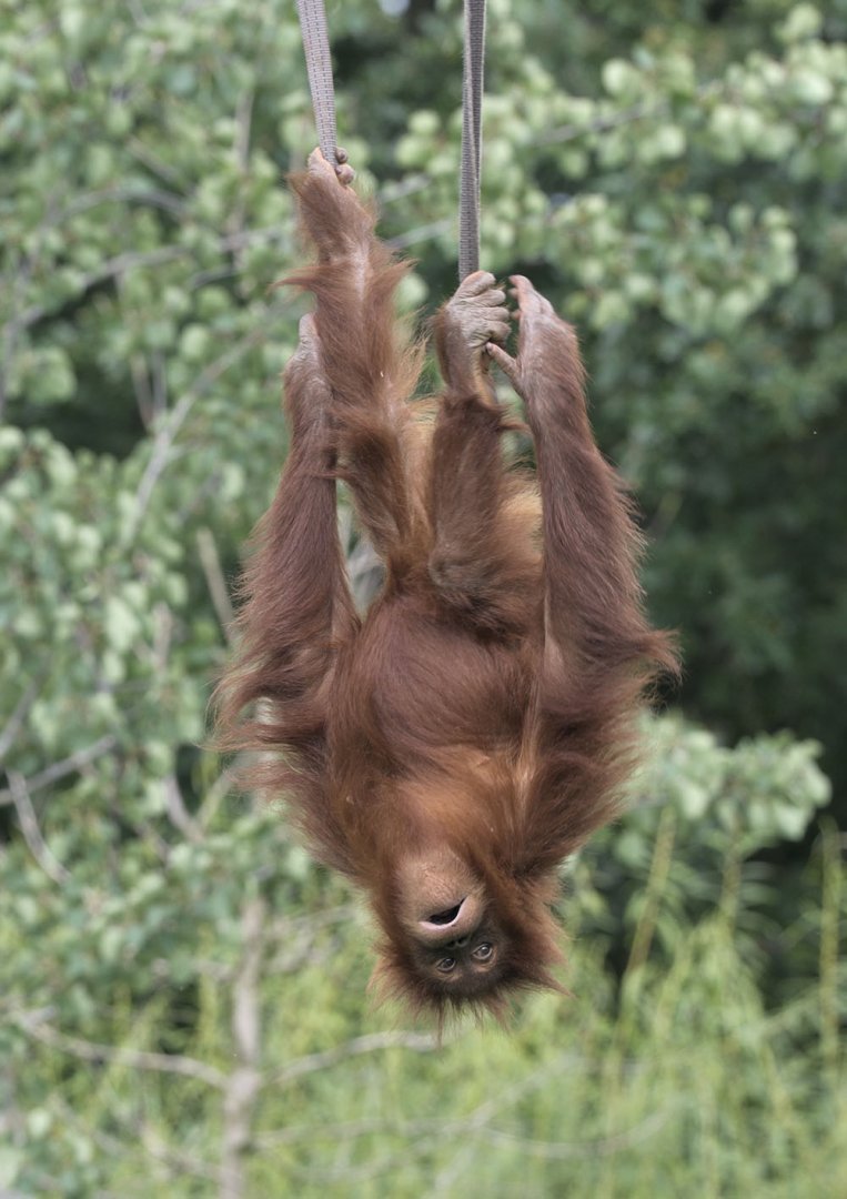 Tuti enjoying herself