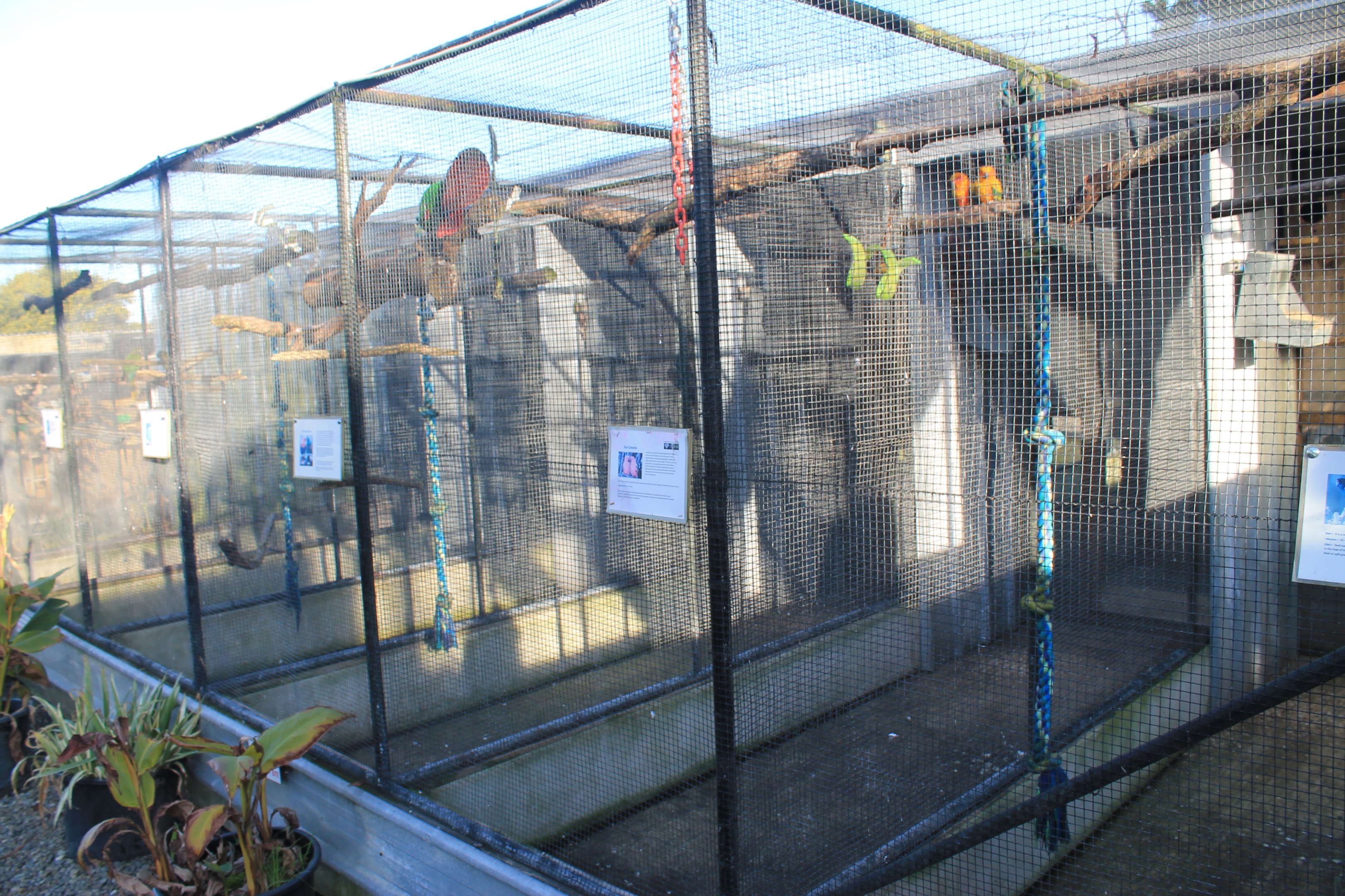 Tweeters and Friends - aviaries