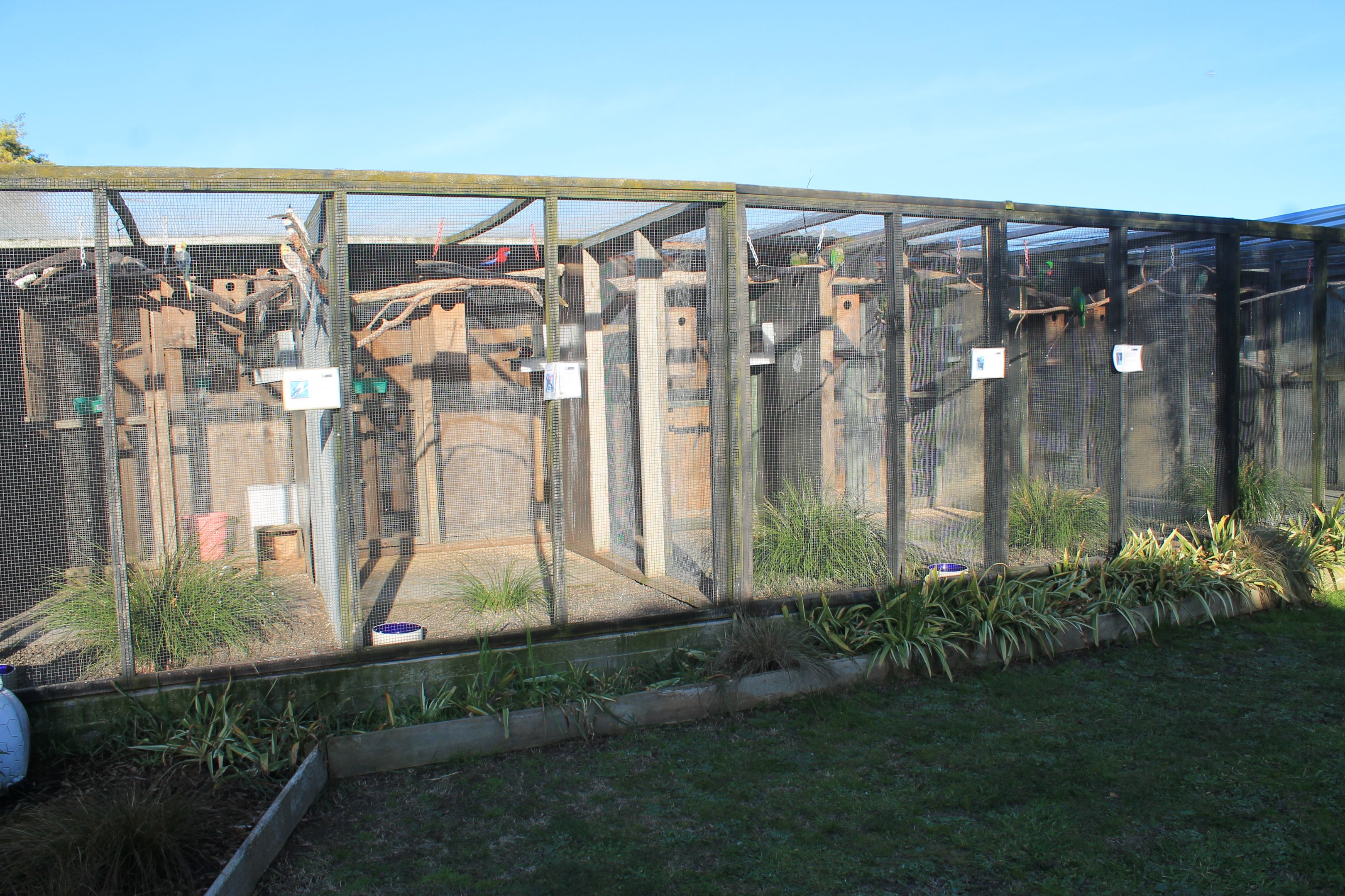 Tweeters and Friends - aviaries