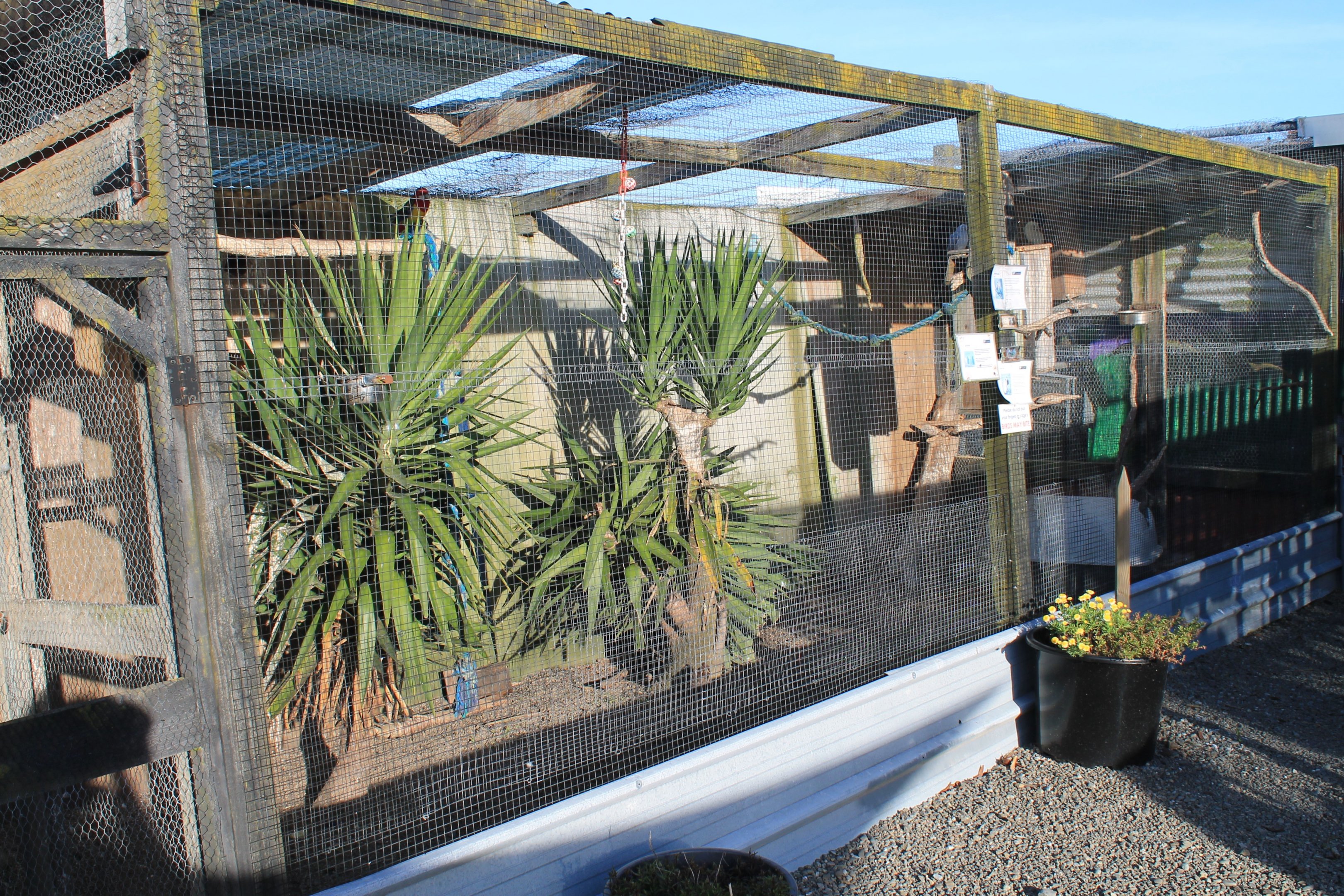 Tweeters and Friends - aviary