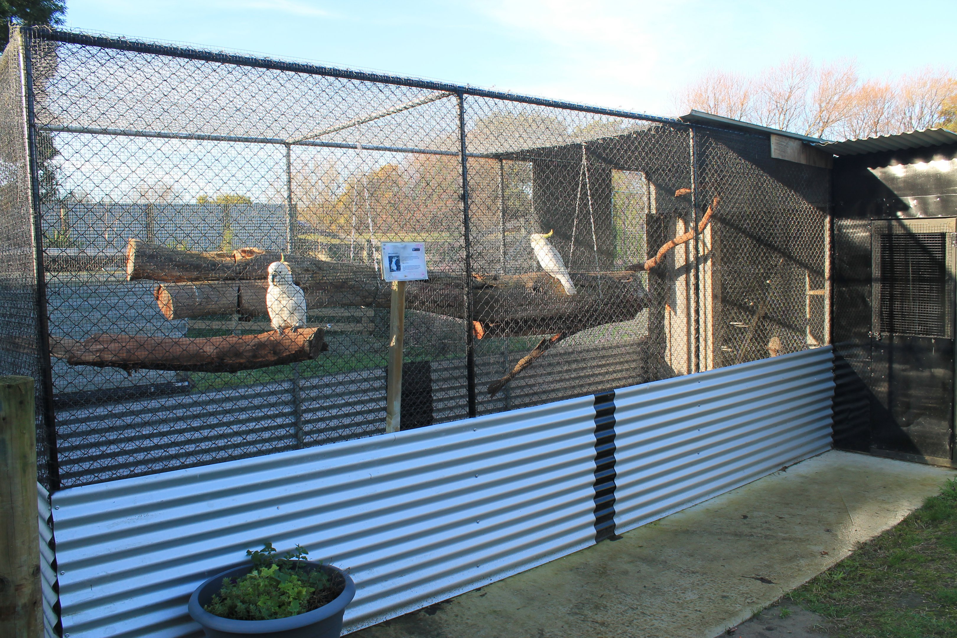 Tweeters and Friends - aviary