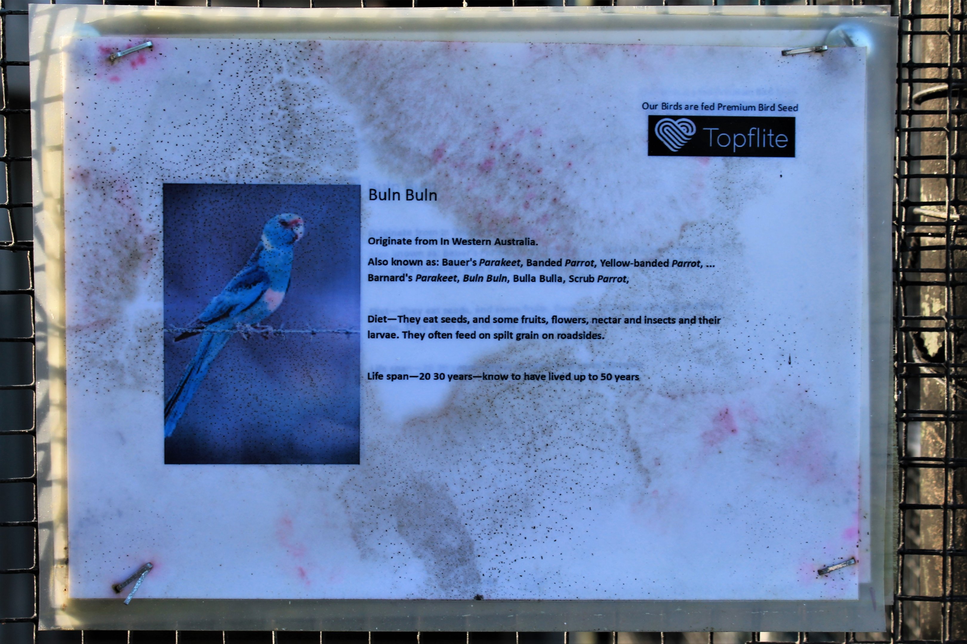 Tweeters and Friends - signage example