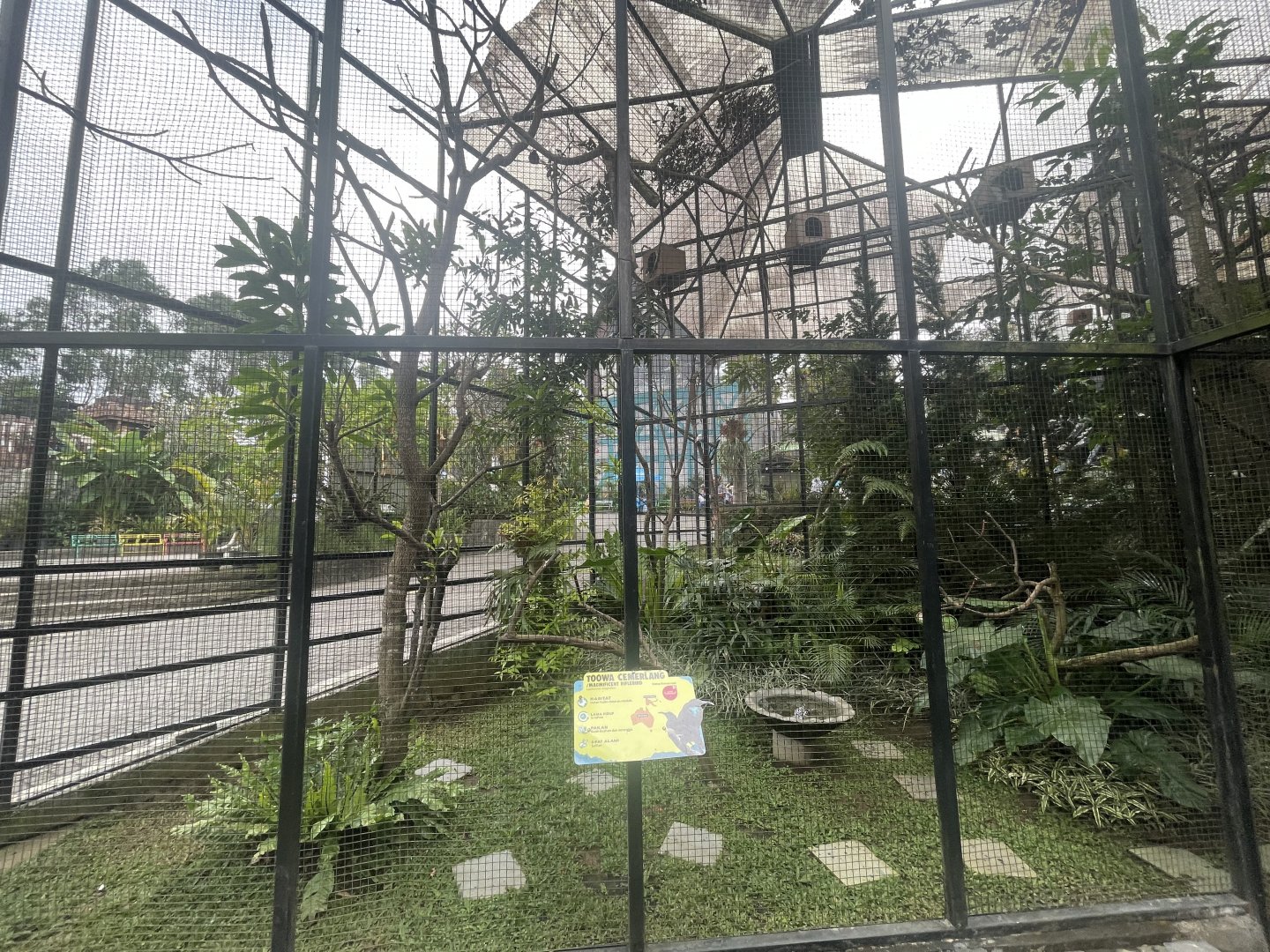 twelve-wired bird-of-paradise & magnificent riflebird exhibit