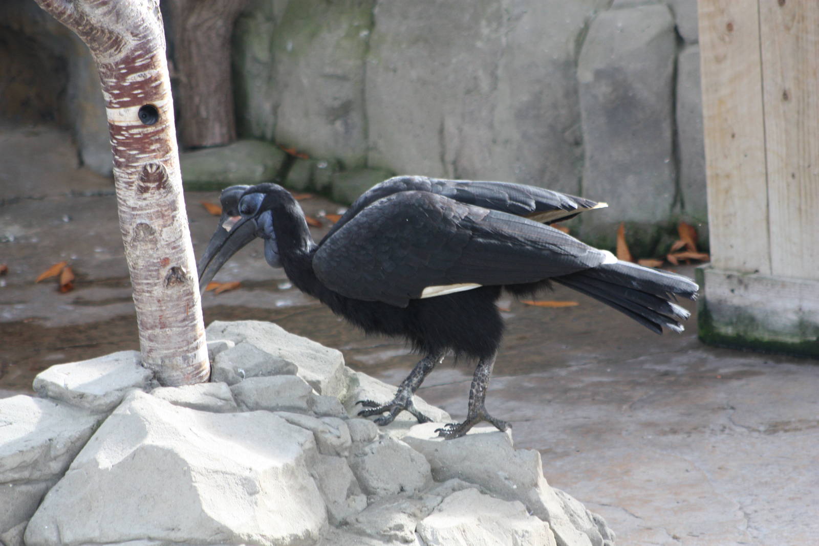 Twiggy, 30th September 2014