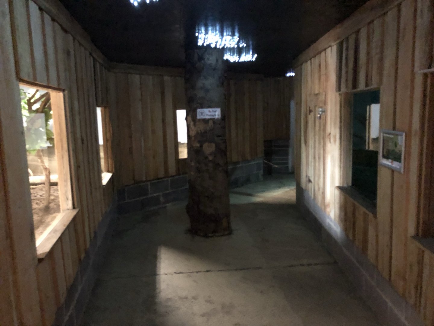 Twilight House at Northumberland Country Zoo (September 2021)