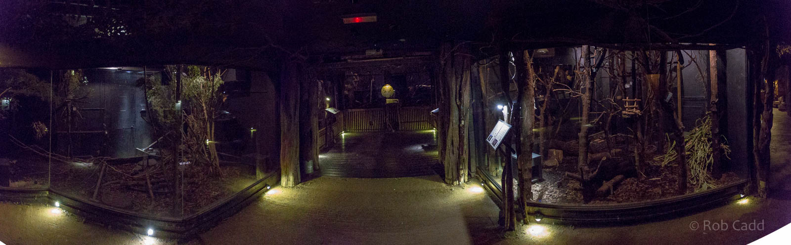 Twilight World (exhibits) : Bristol : 19 Oct 2015