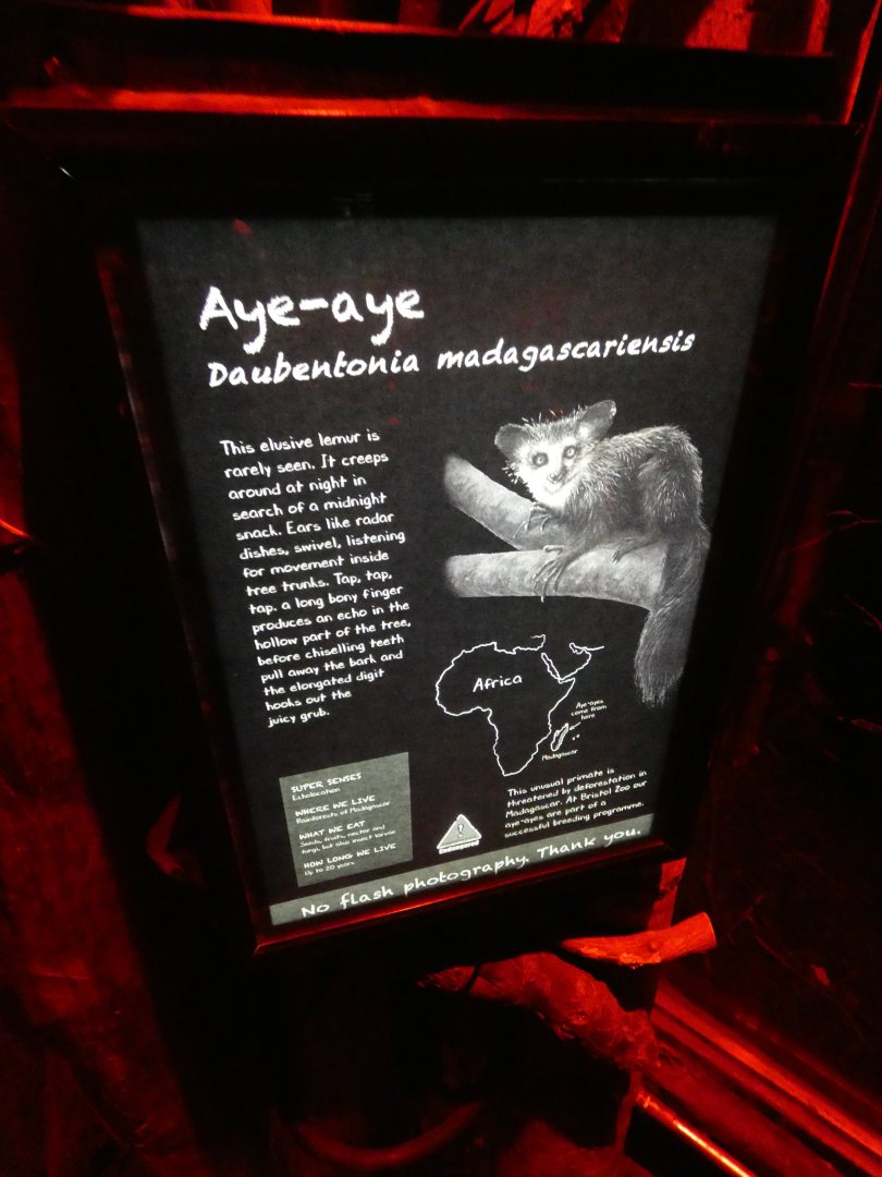 Twilight World signage style