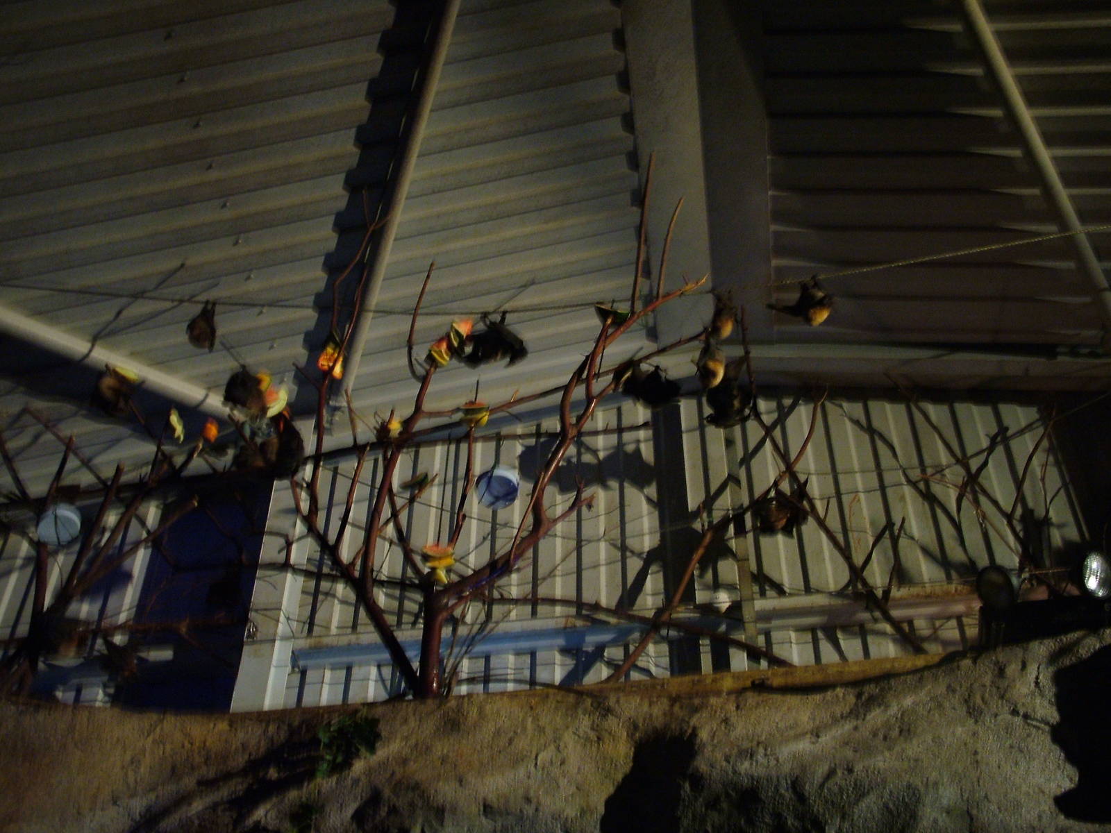 Twilight Zone at Chester 06/12/09