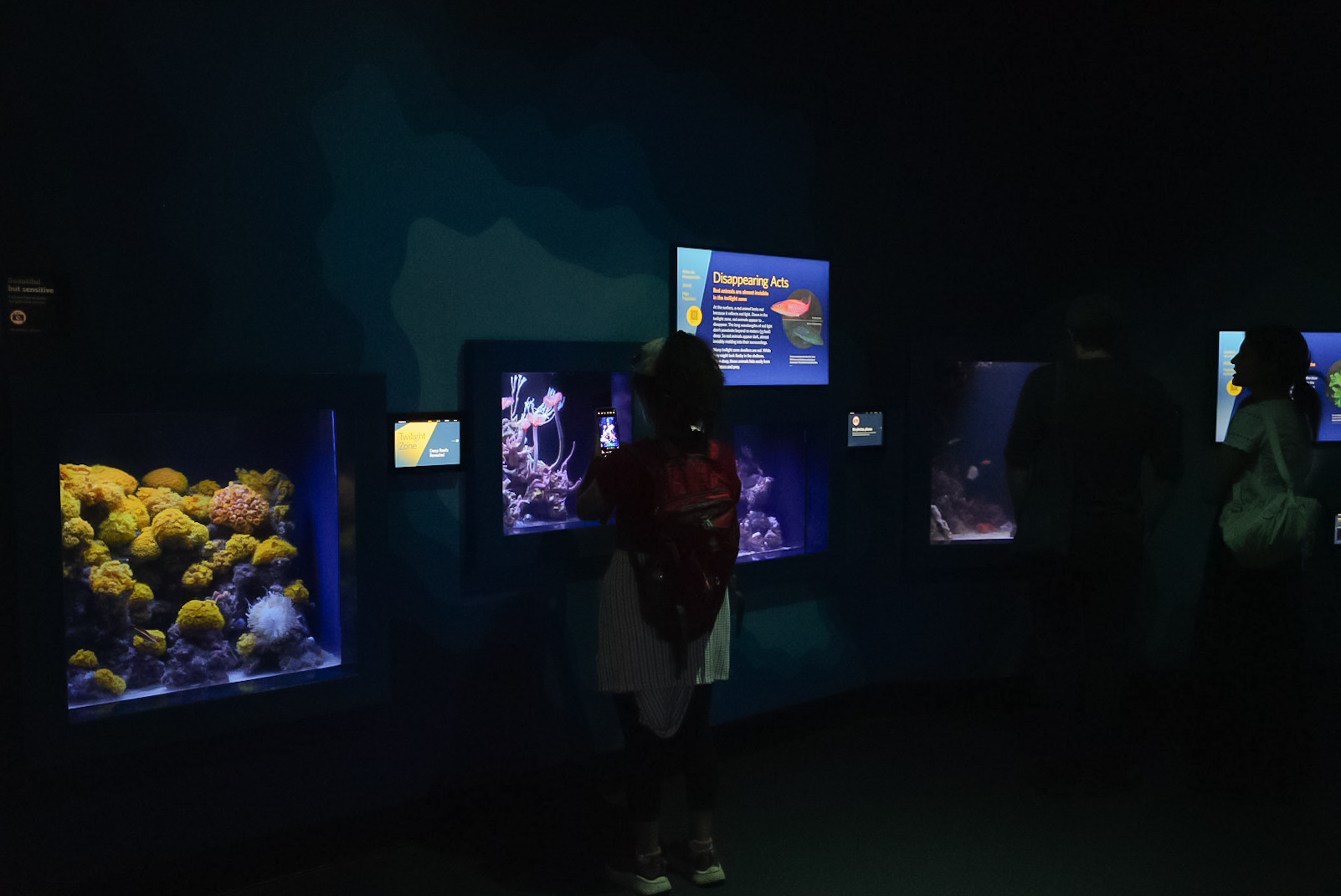 'Twilight Zone Gallery' (Smaller exhibits)