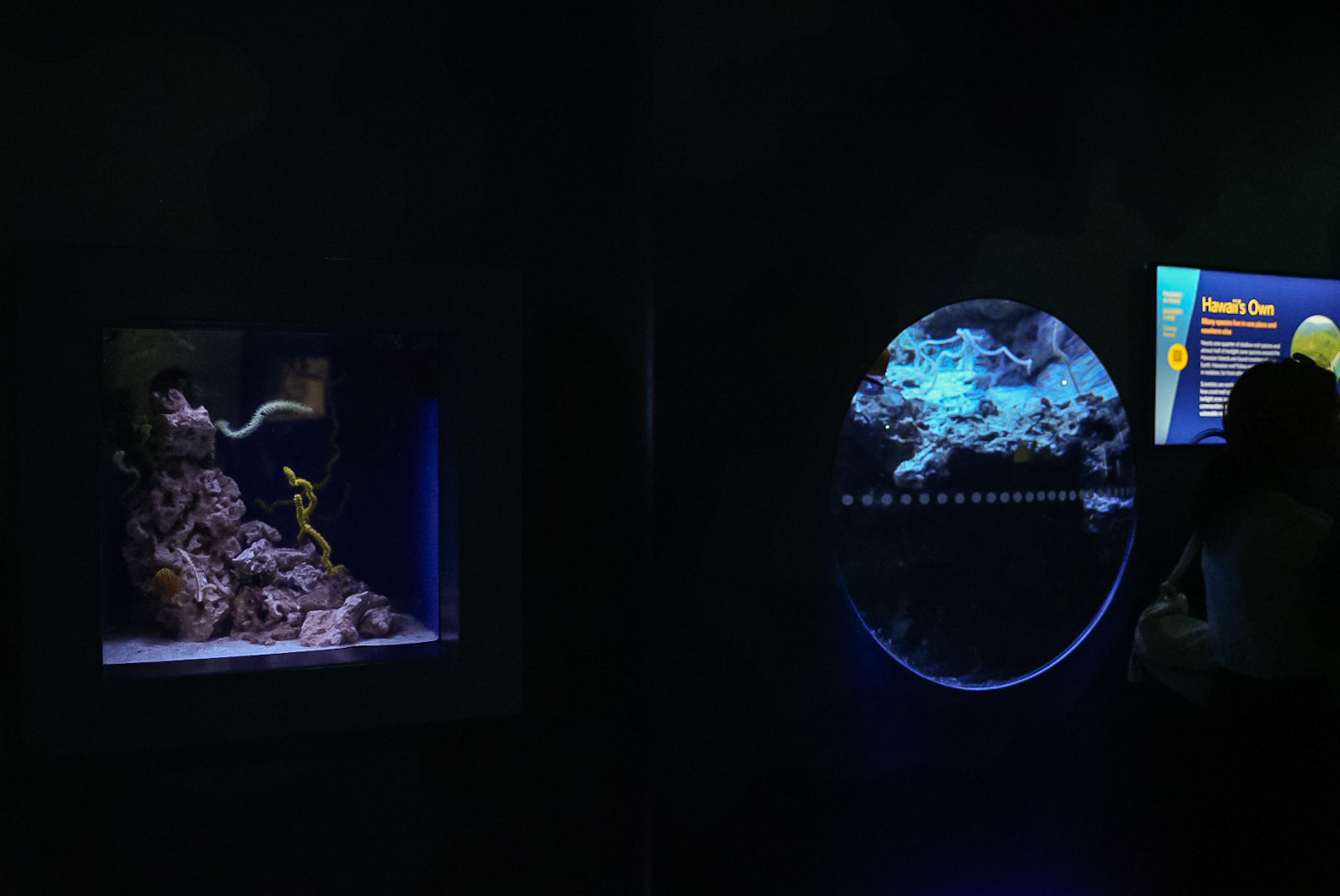 'Twilight Zone Gallery' (smaller exhibits)