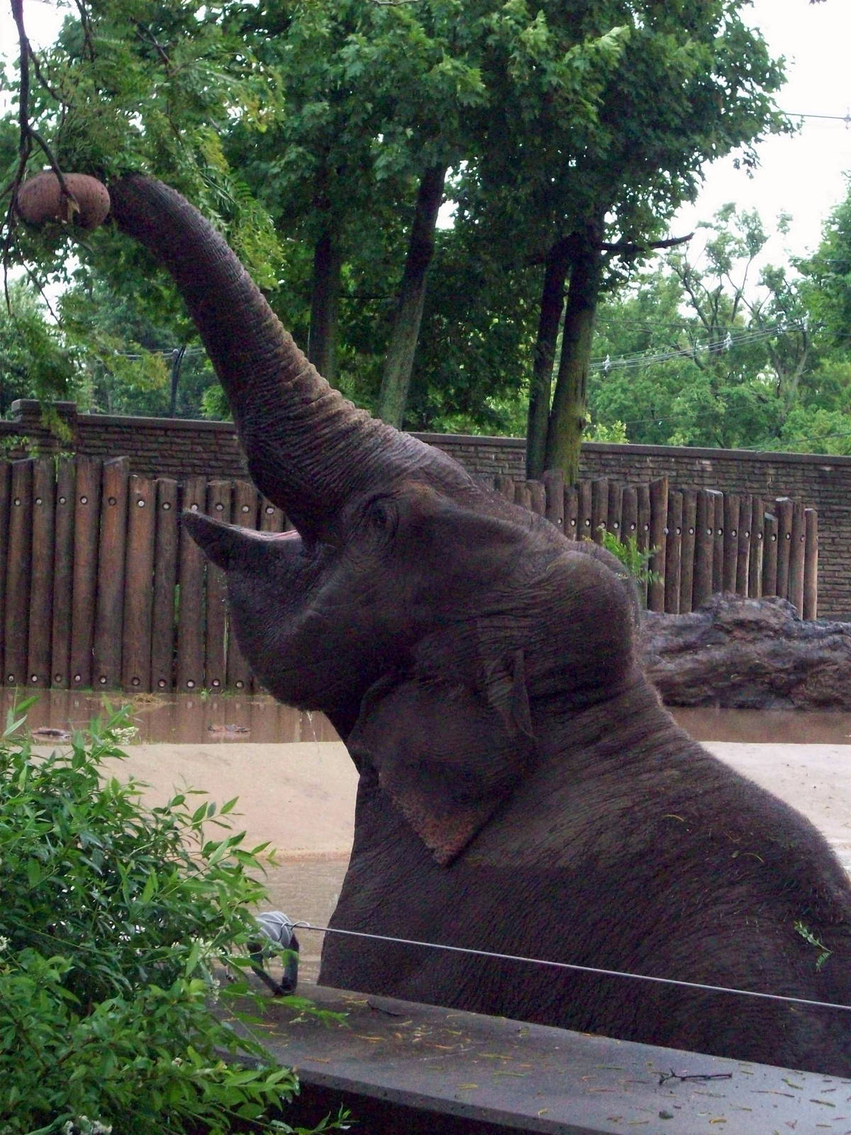 Twist with the truck