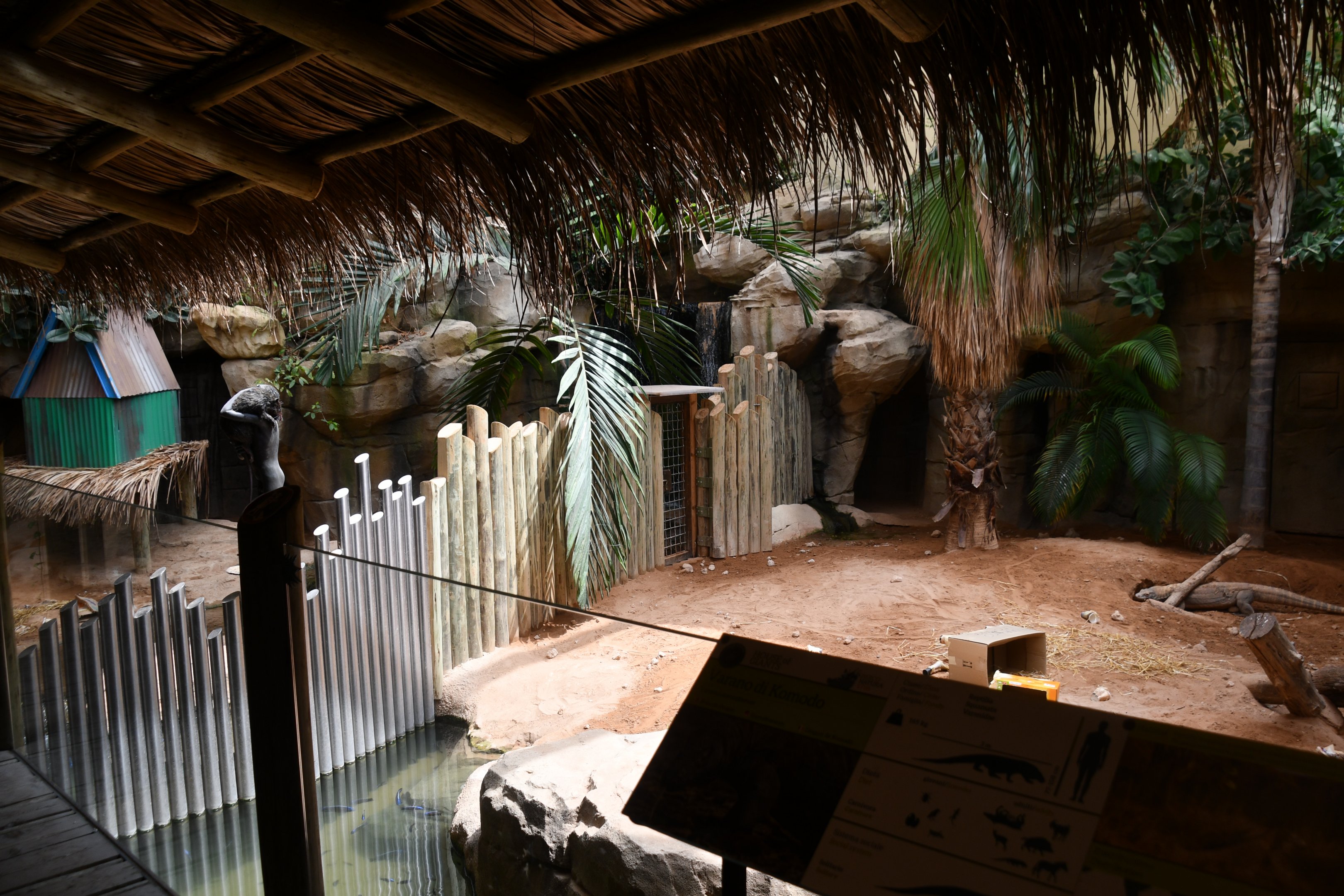 two adjacent Komodo Dragon exhibits (House of Giants)