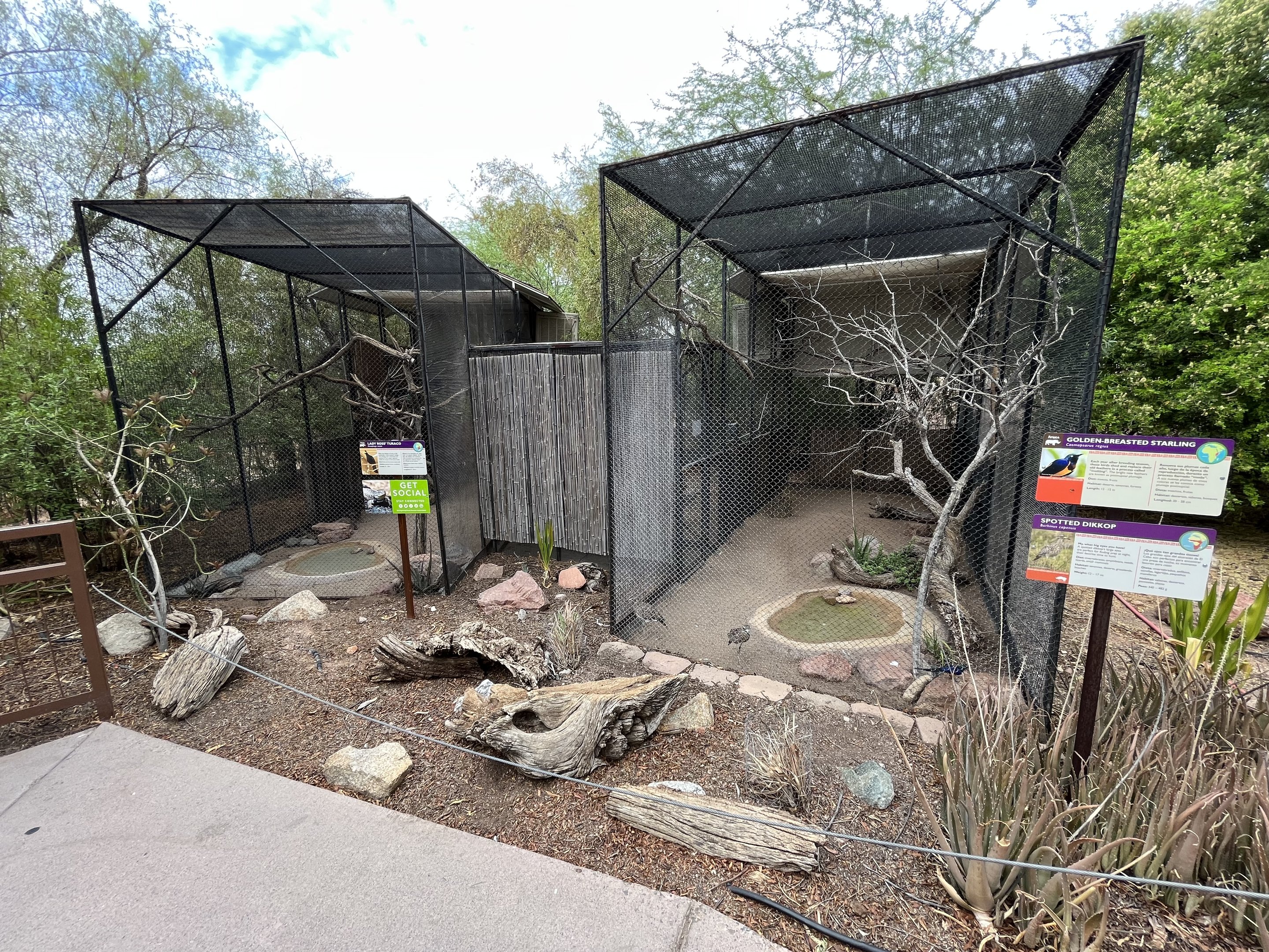 Two Aviaries (3 species)