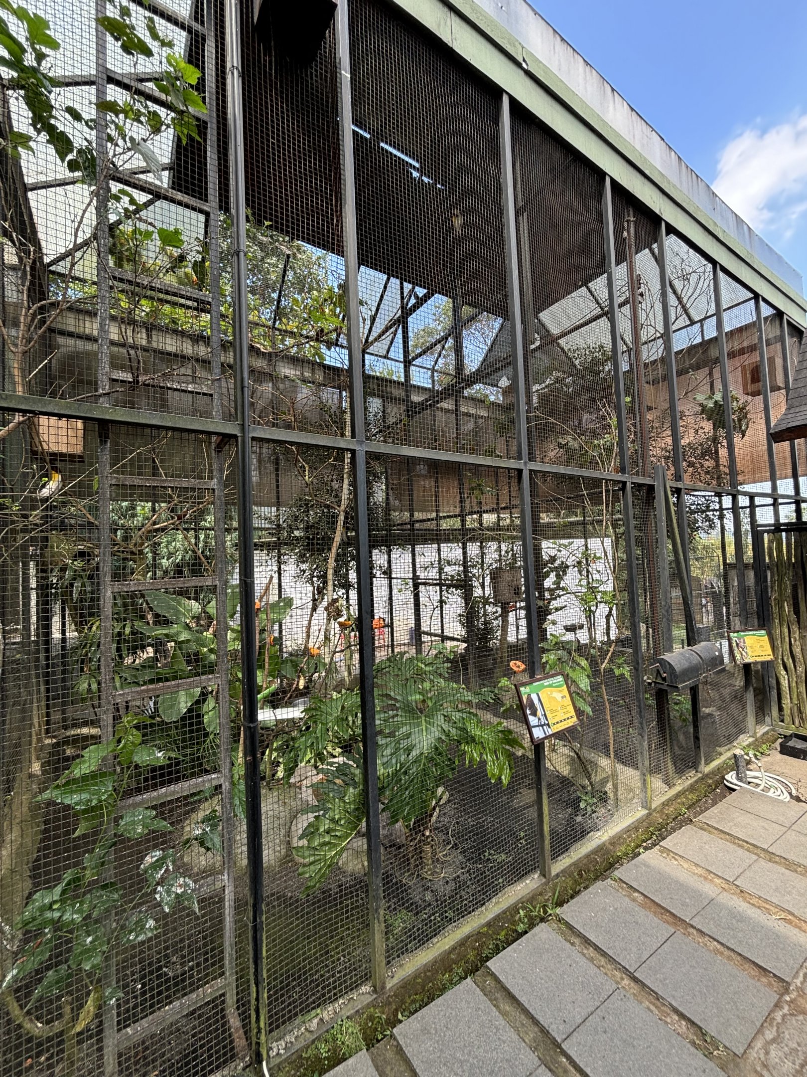 Two Aviaries - Greater + Lesser Birds of Paradise