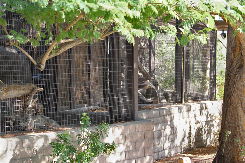 two exhibits combined