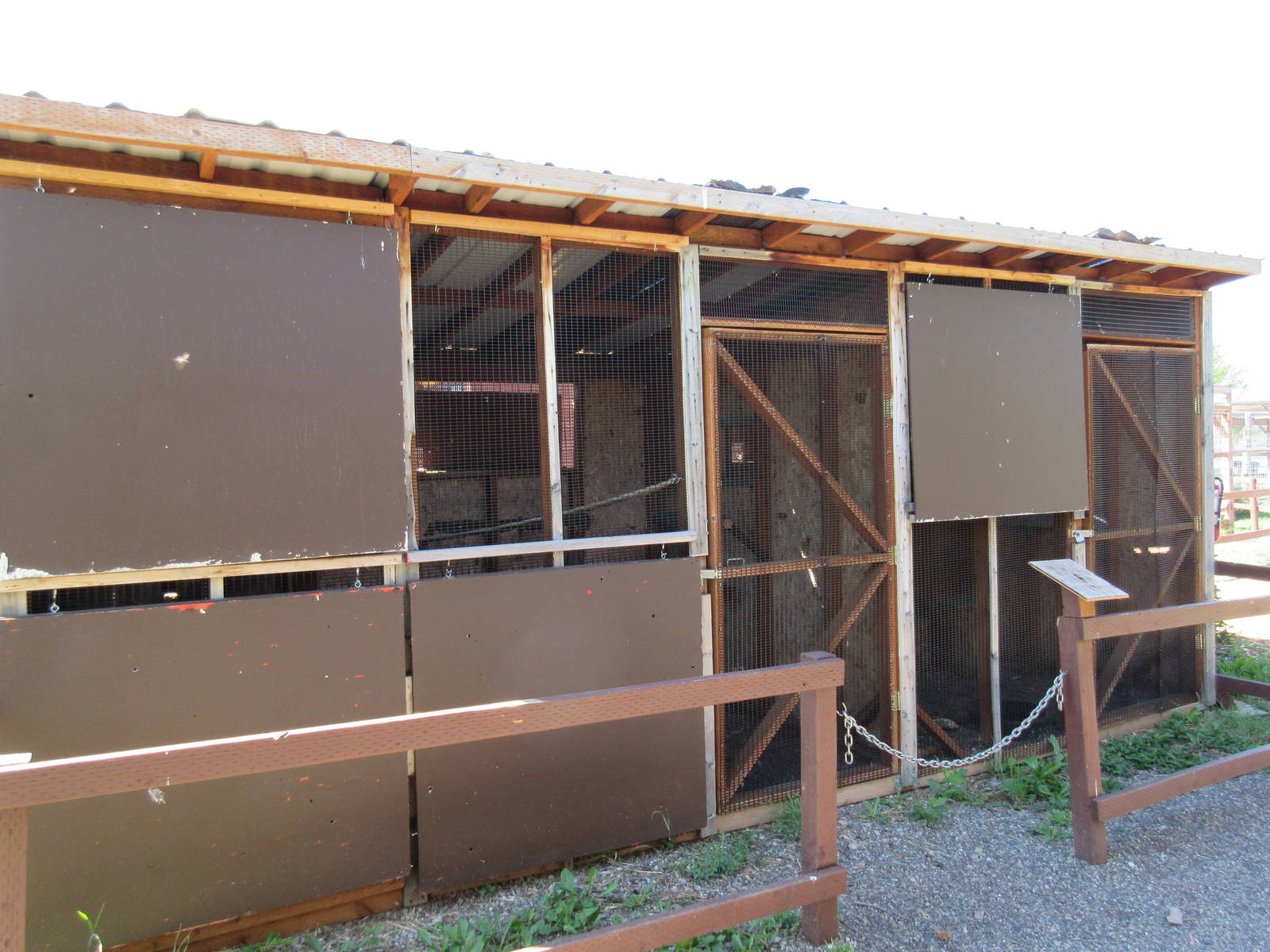 Two Exhibits: Great Horned Owls