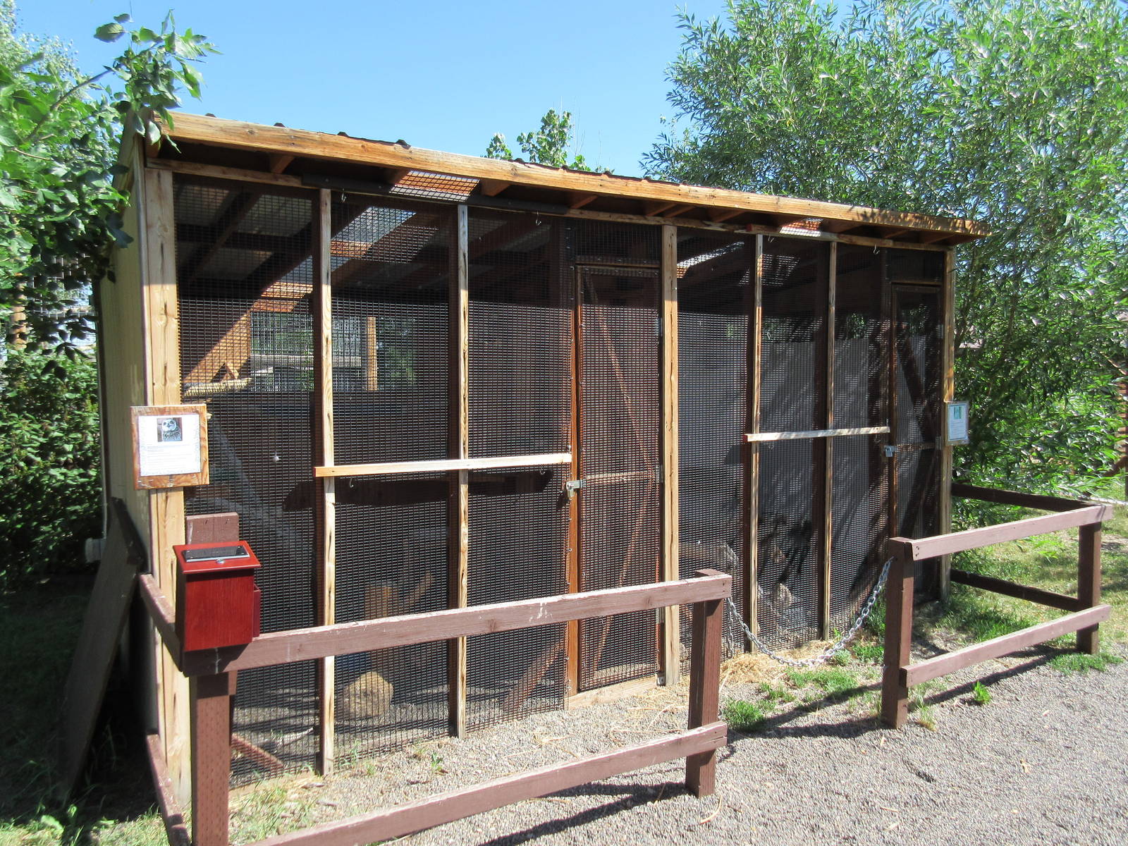 Two Exhibits: Short-Eared Owl + Prairie Falcon