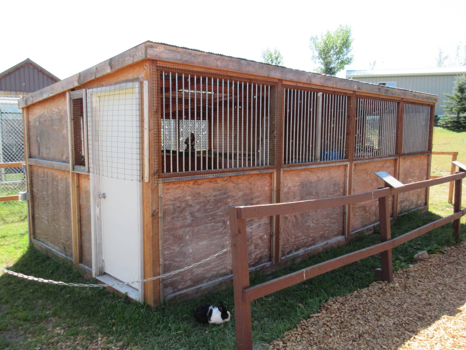 Two Exhibits: Swainson's Hawks
