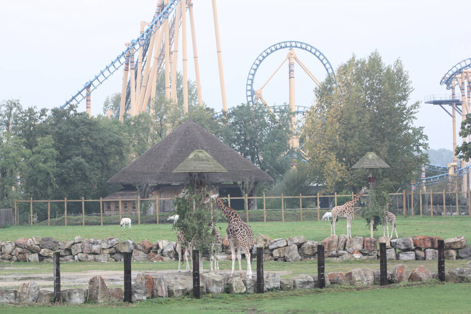 Two faces of Flamingo Land, 30th September 2014