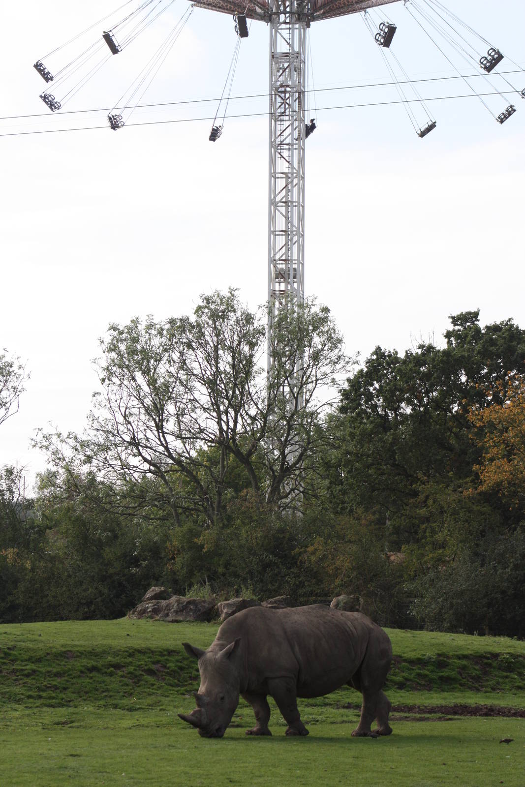 Two faces of Flamingo Land, 30th September 2014