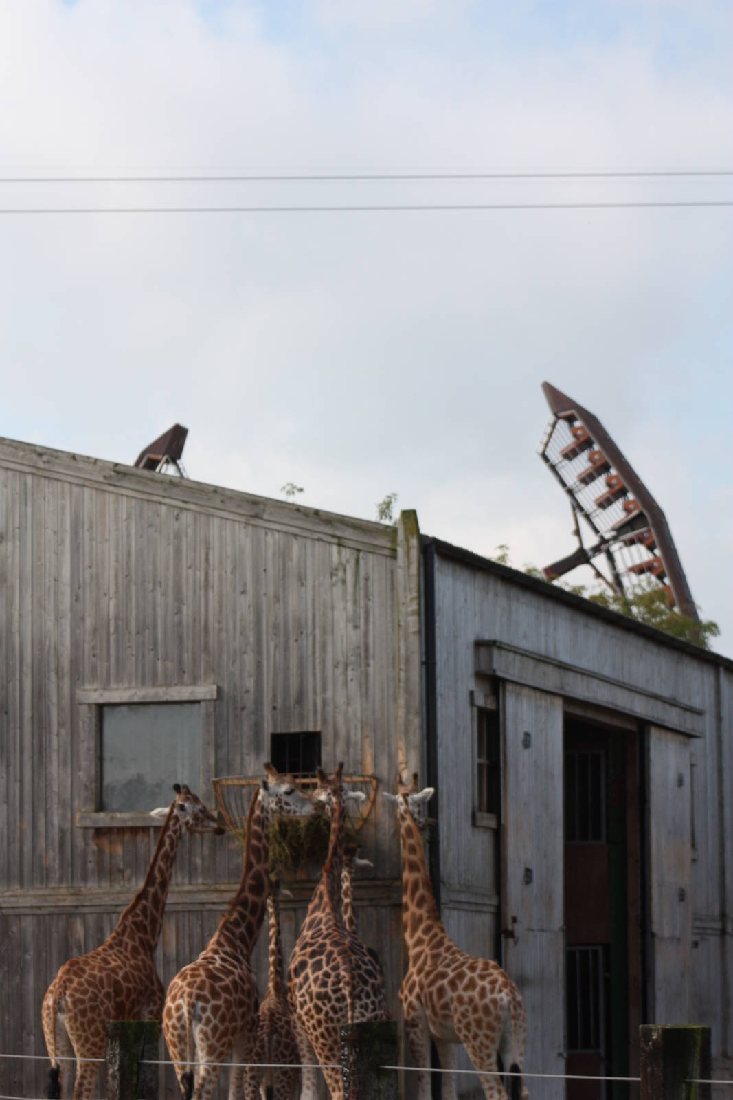 Two faces of Flamingo Land, 30th September 2014