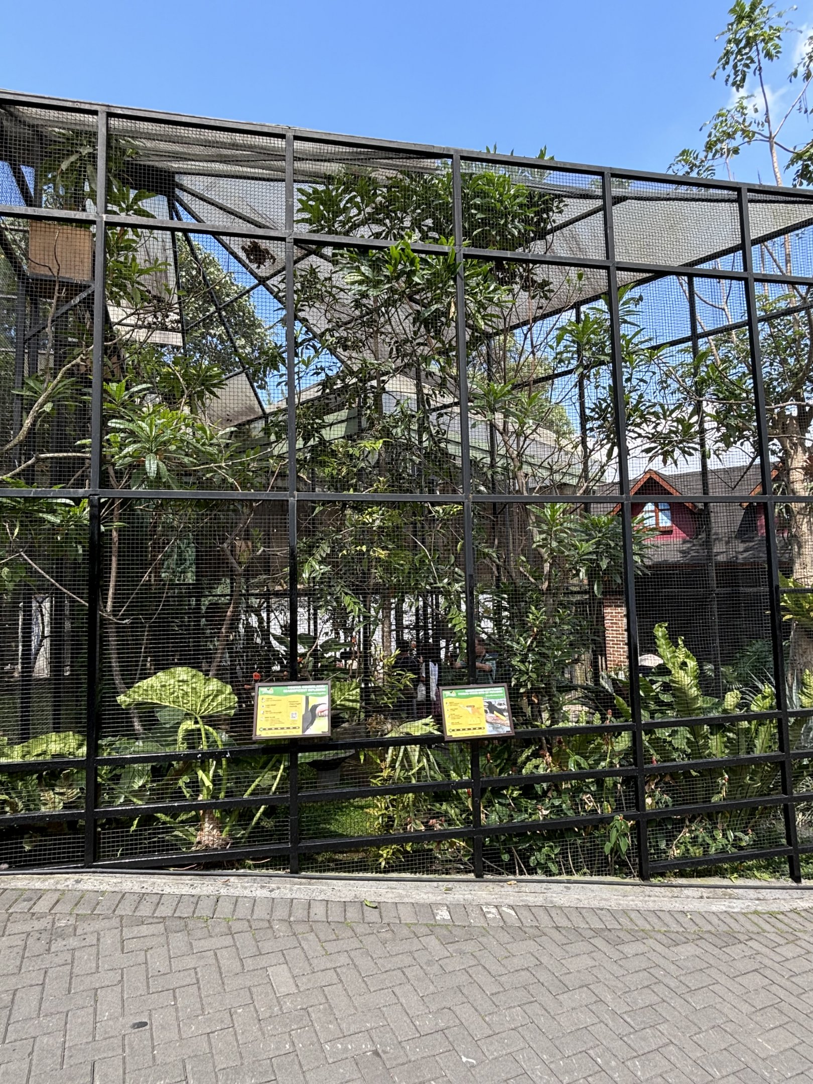 Two Genuine Rarities!