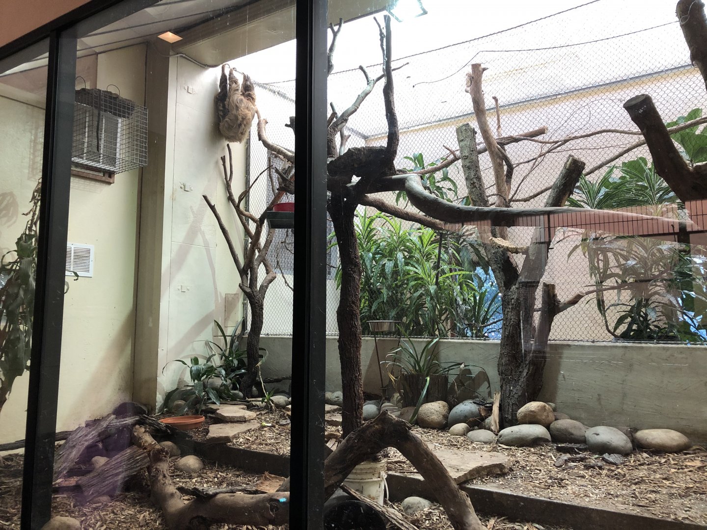 Two New World exhibits in the Lion House (4 species)