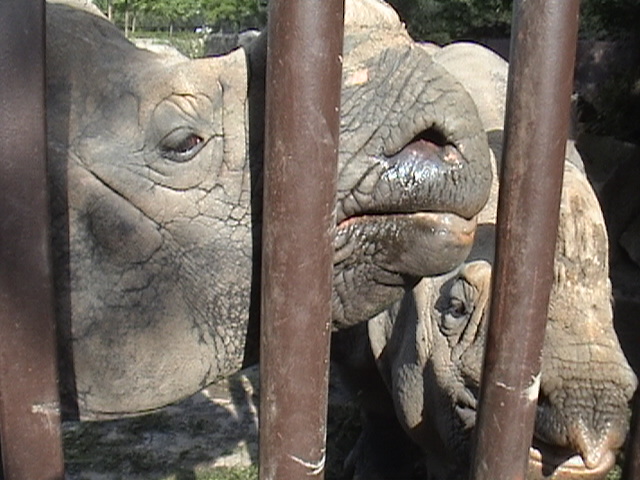 Two nice Indian ladies...