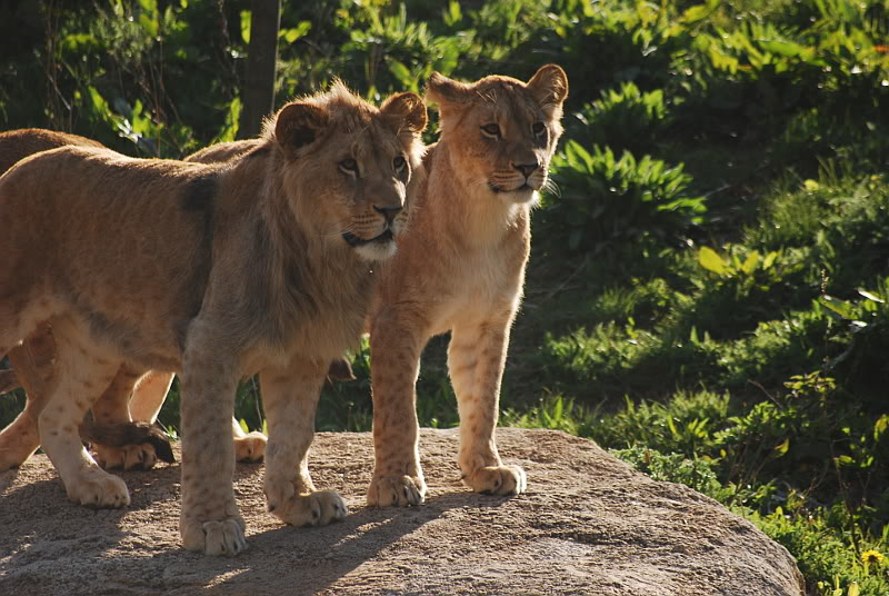 Two of the last years offspring