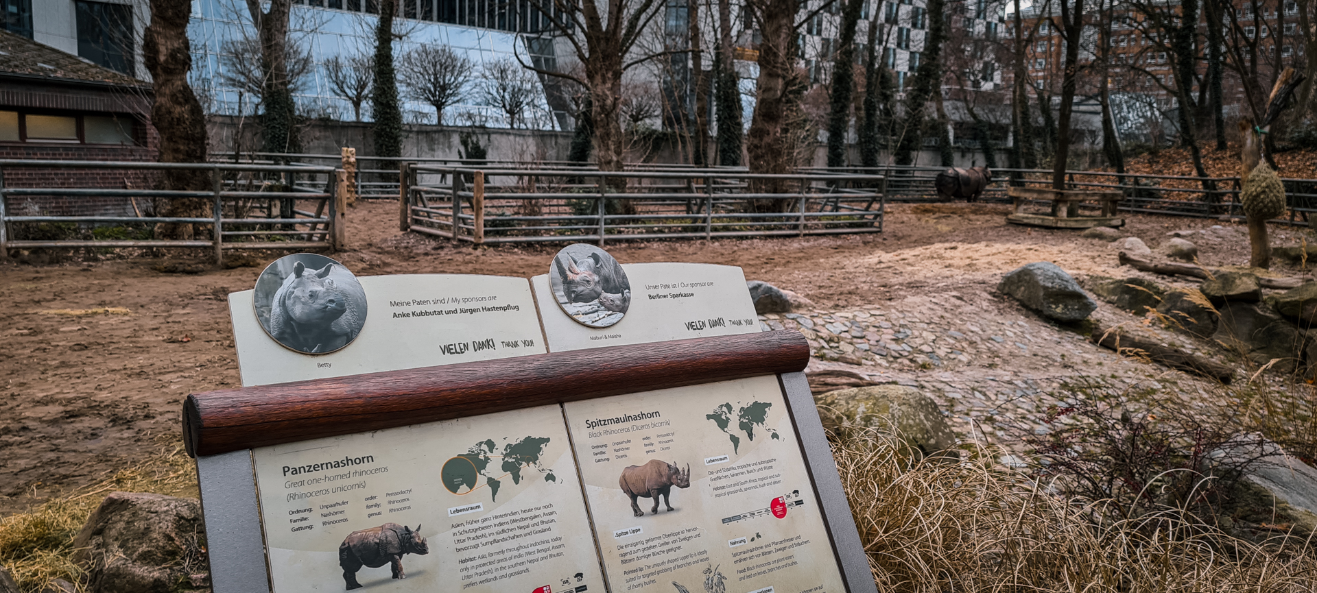 Two rhino  species in the already small enclsure