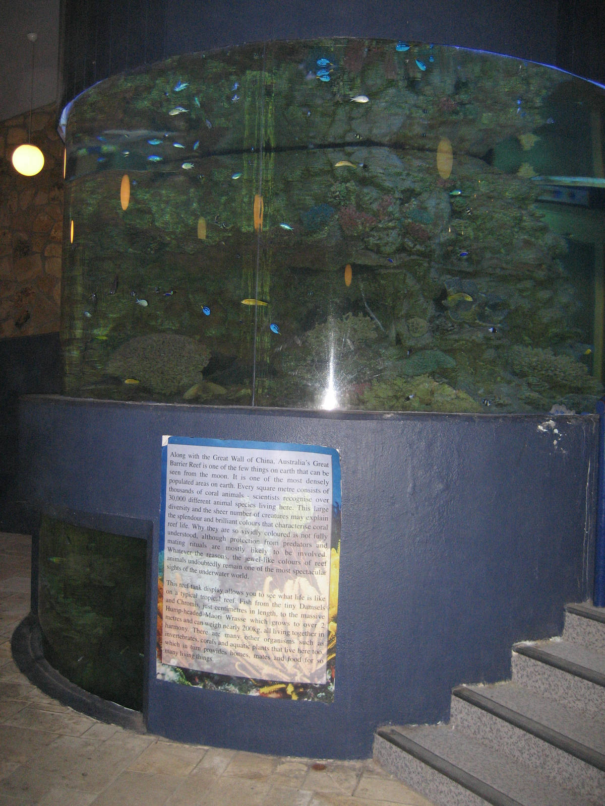 Two-story Marine Tank