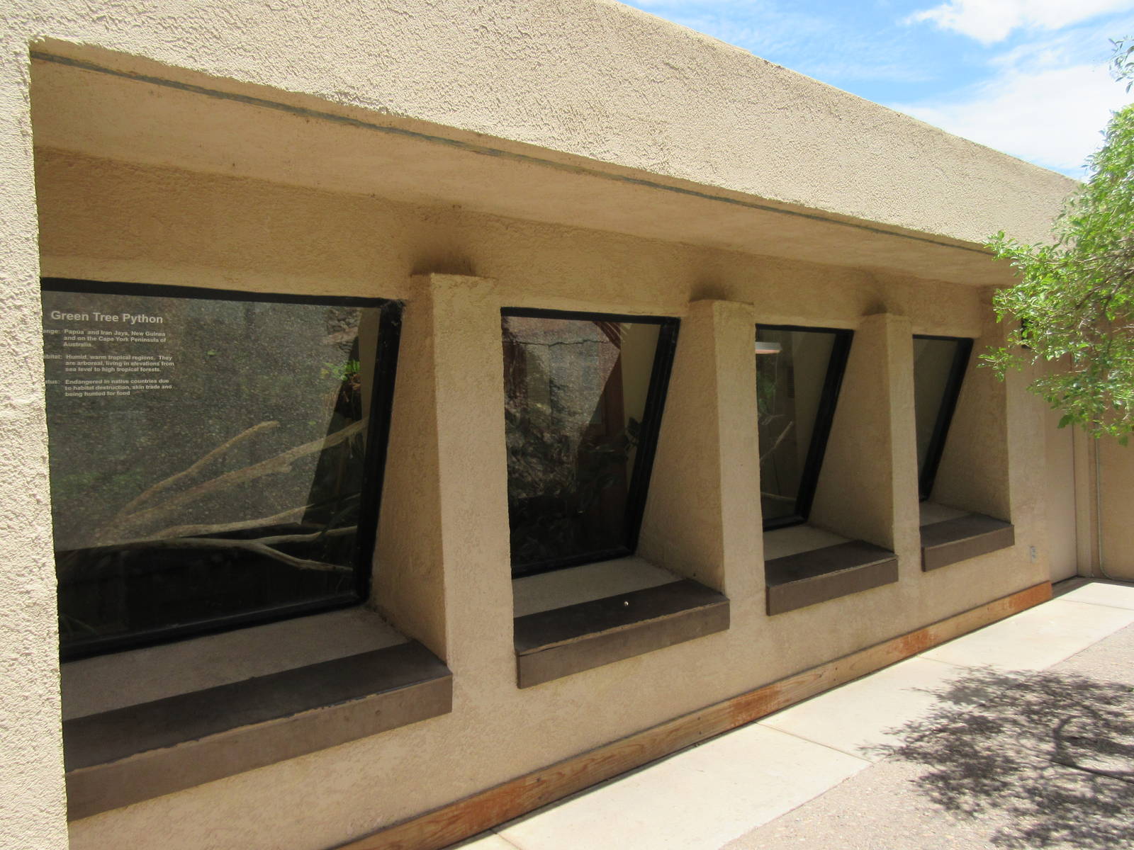 Two Terrariums (Green Tree Python + Green Iguana)