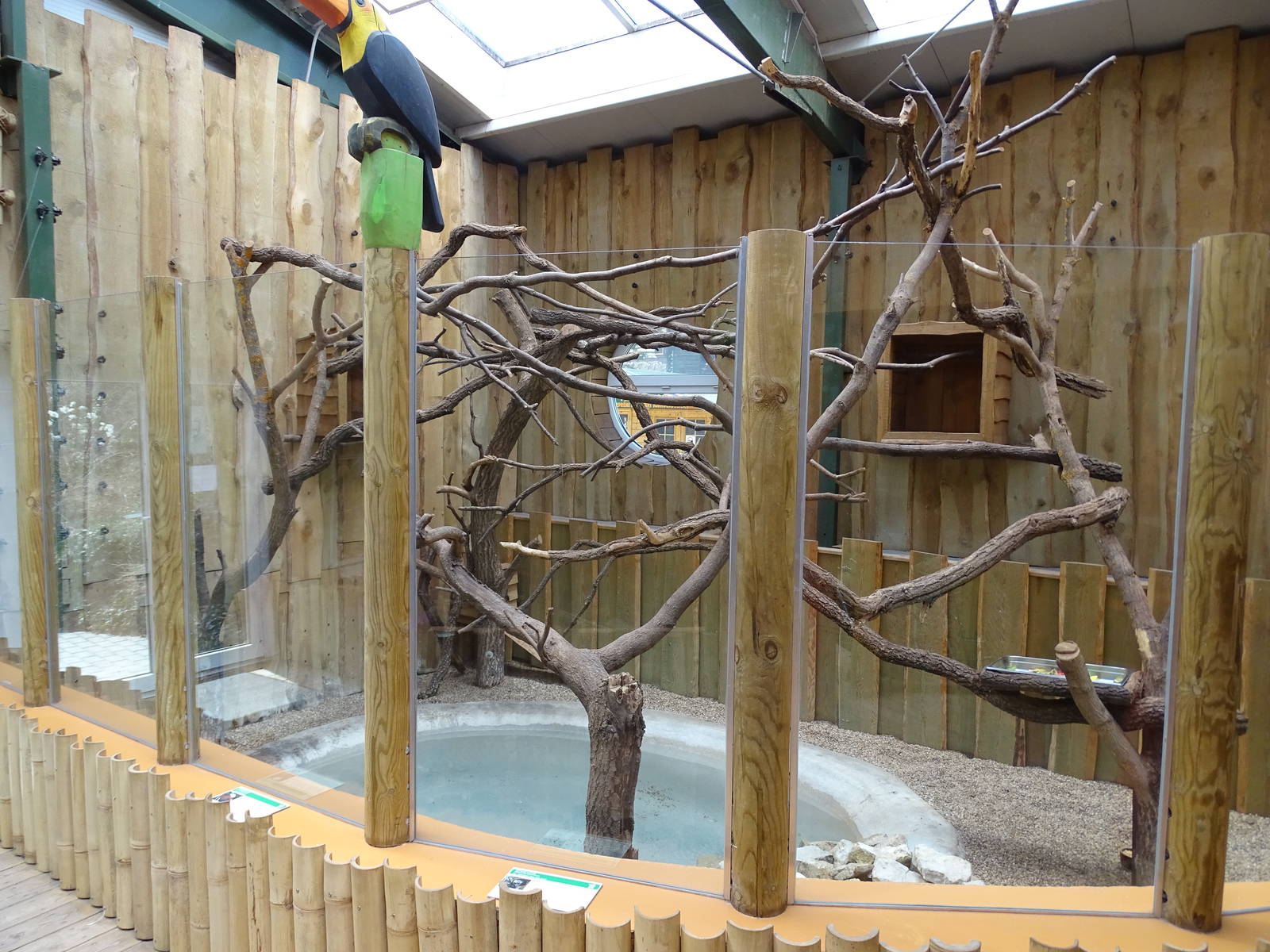 Two-toad sloth enclosure