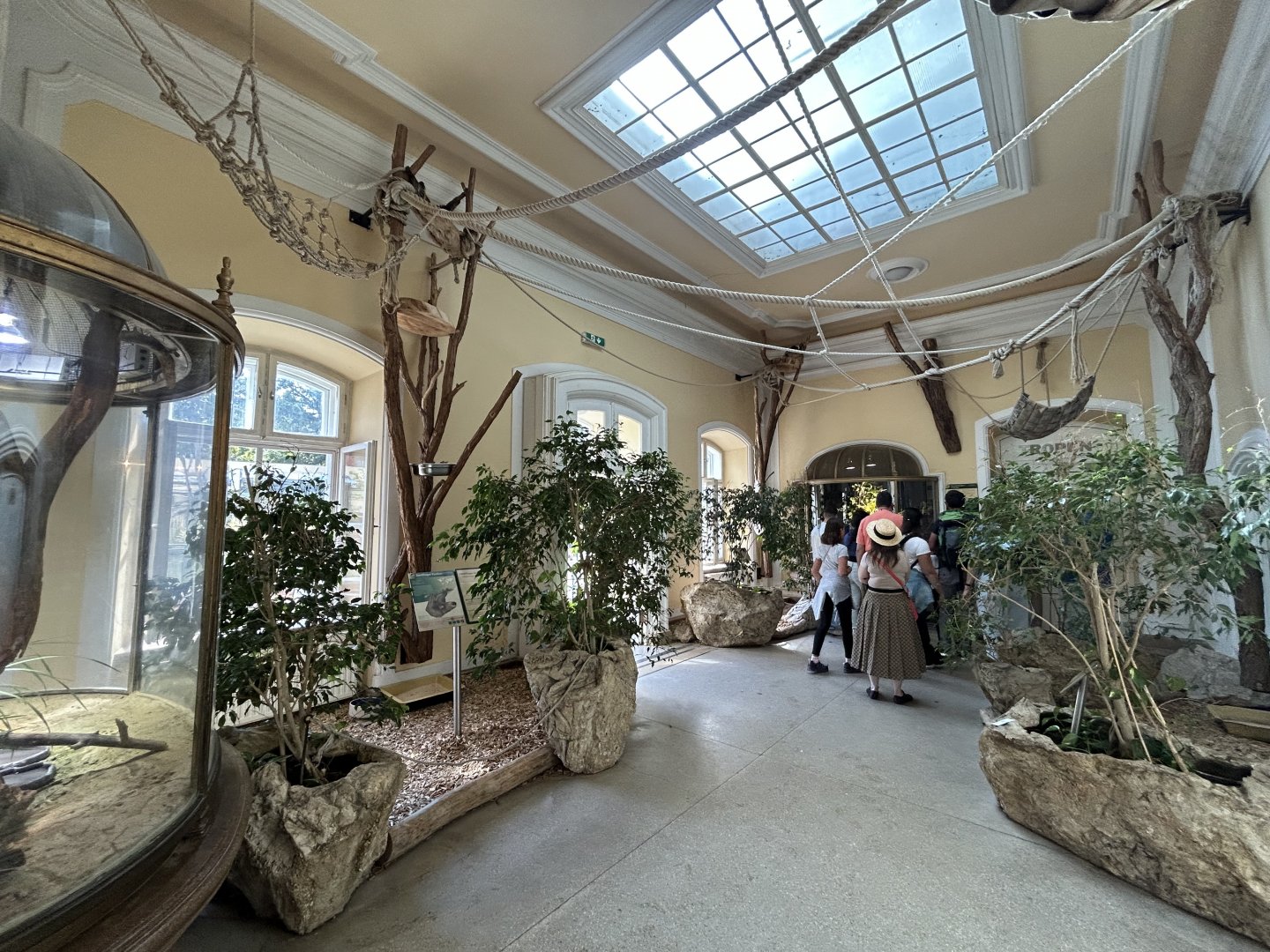 Two-toed Sloth & Amphibian Exhibits - Bird House