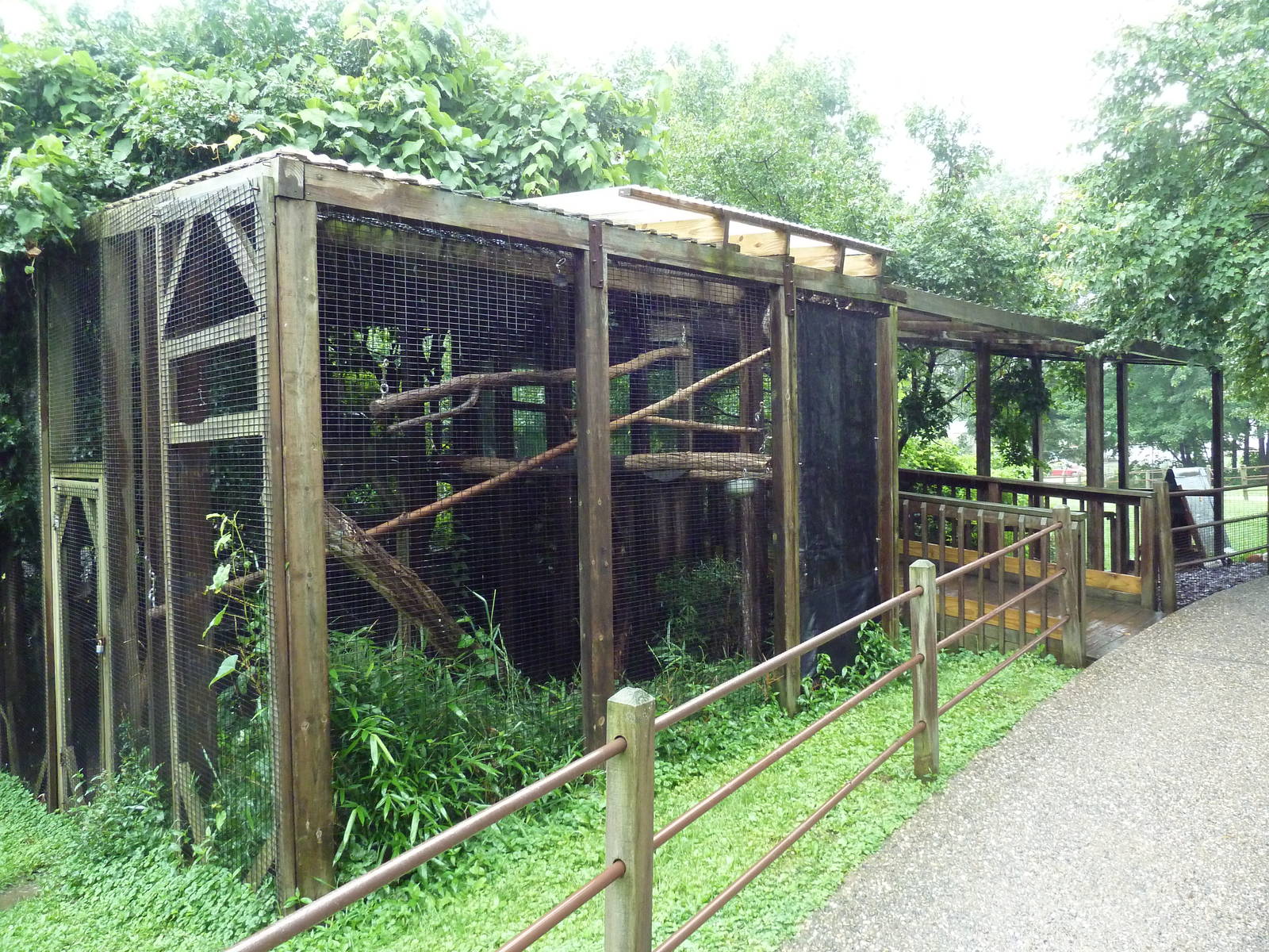 Two-Toed Sloth + Capybara Exhibits