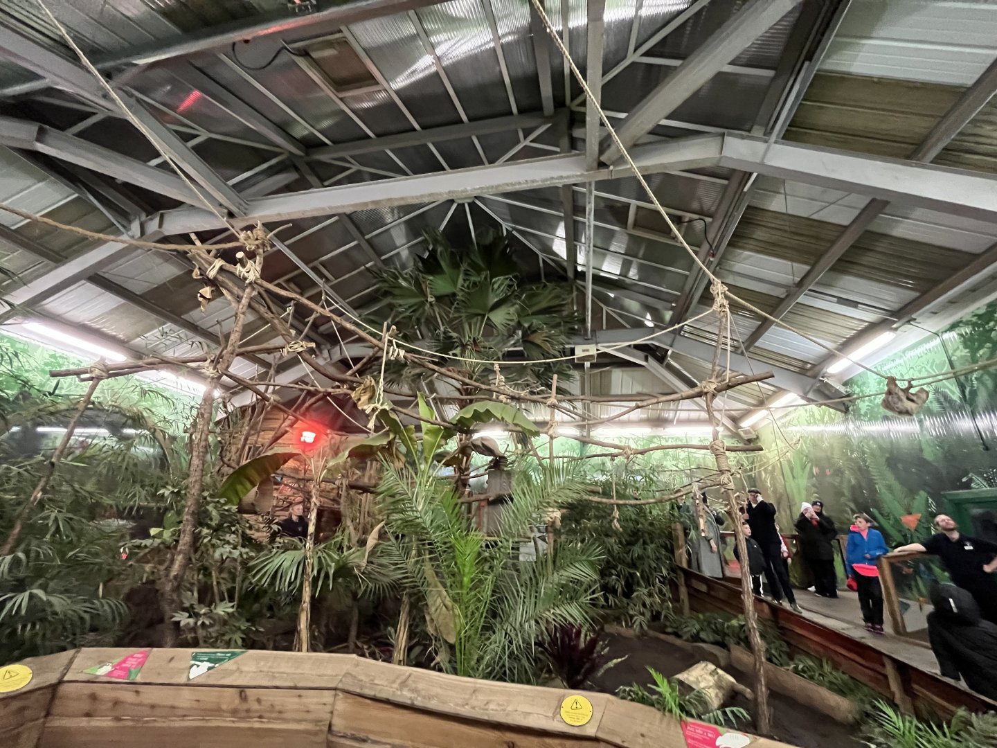 Two toed sloth enclosure in early evening 29.10.23