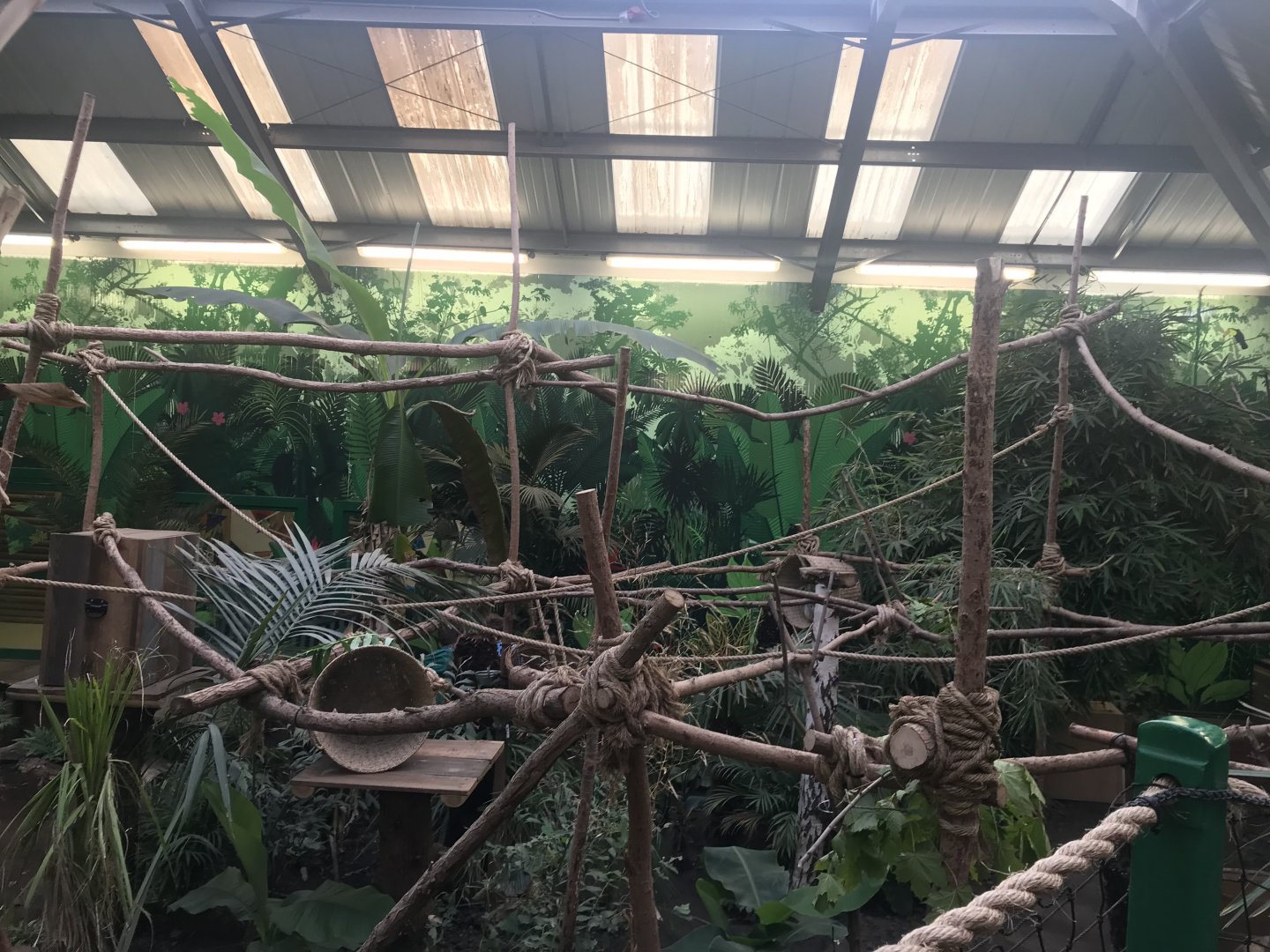 Two toed sloth enclosure