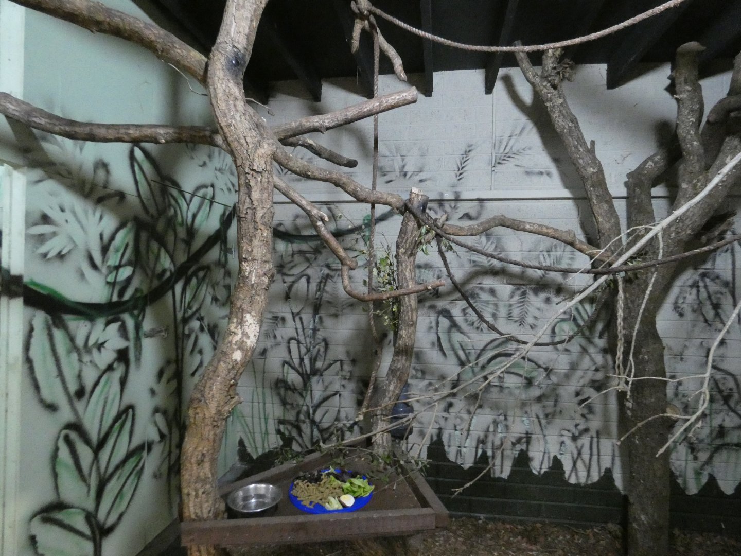 Two-toed sloth enclosure