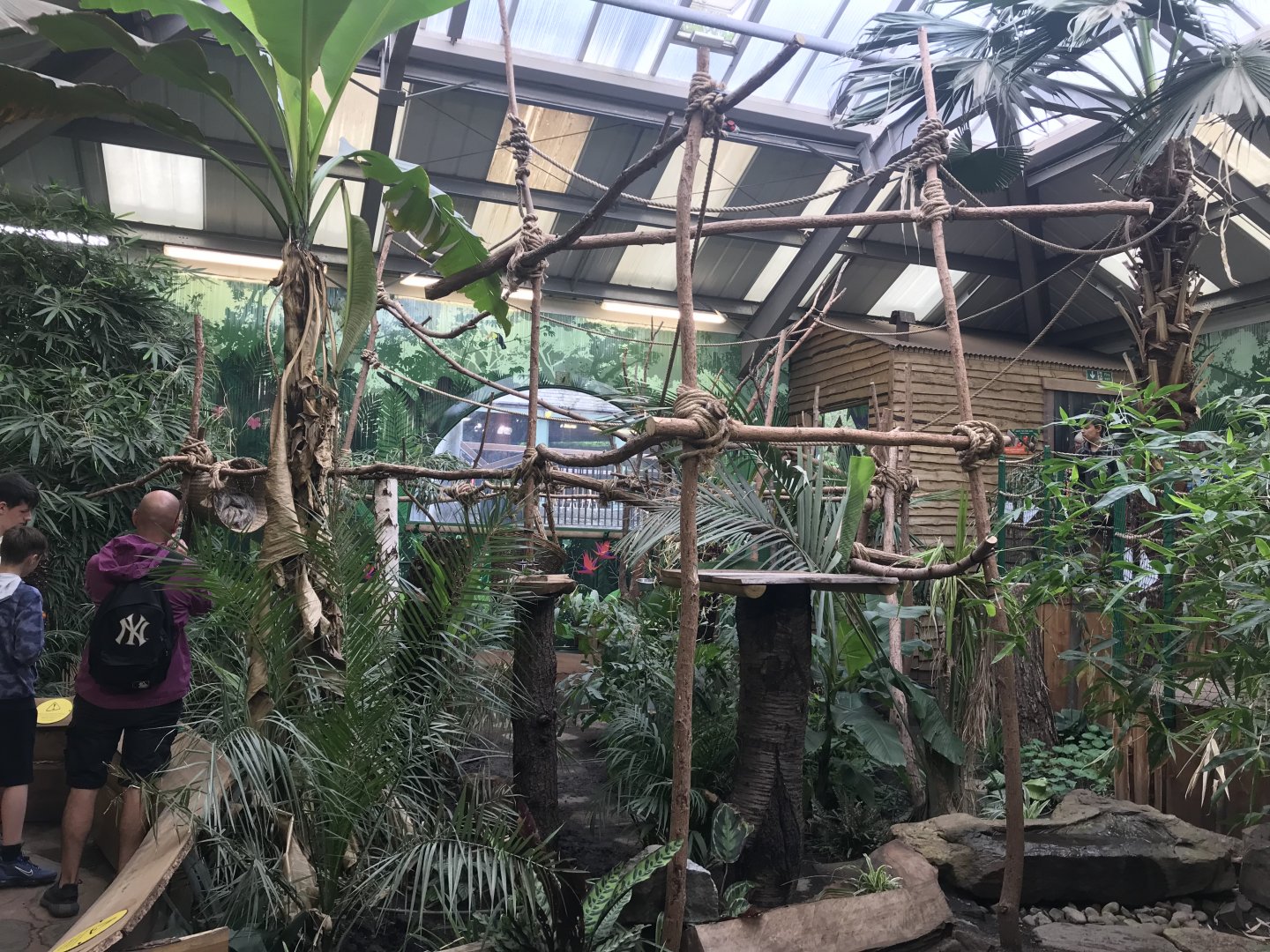Two-toed sloth enclosure